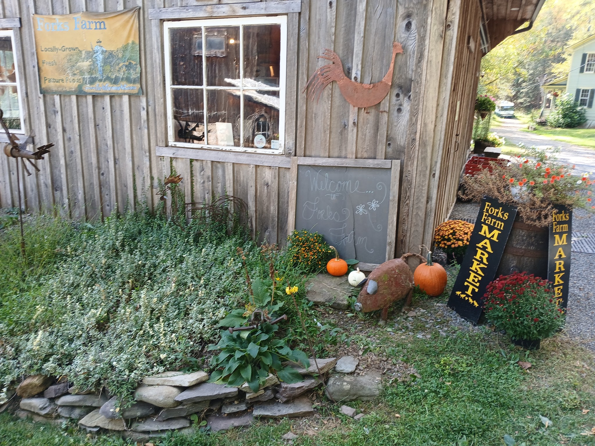 Forks Farm & Market - Orangeville, PA