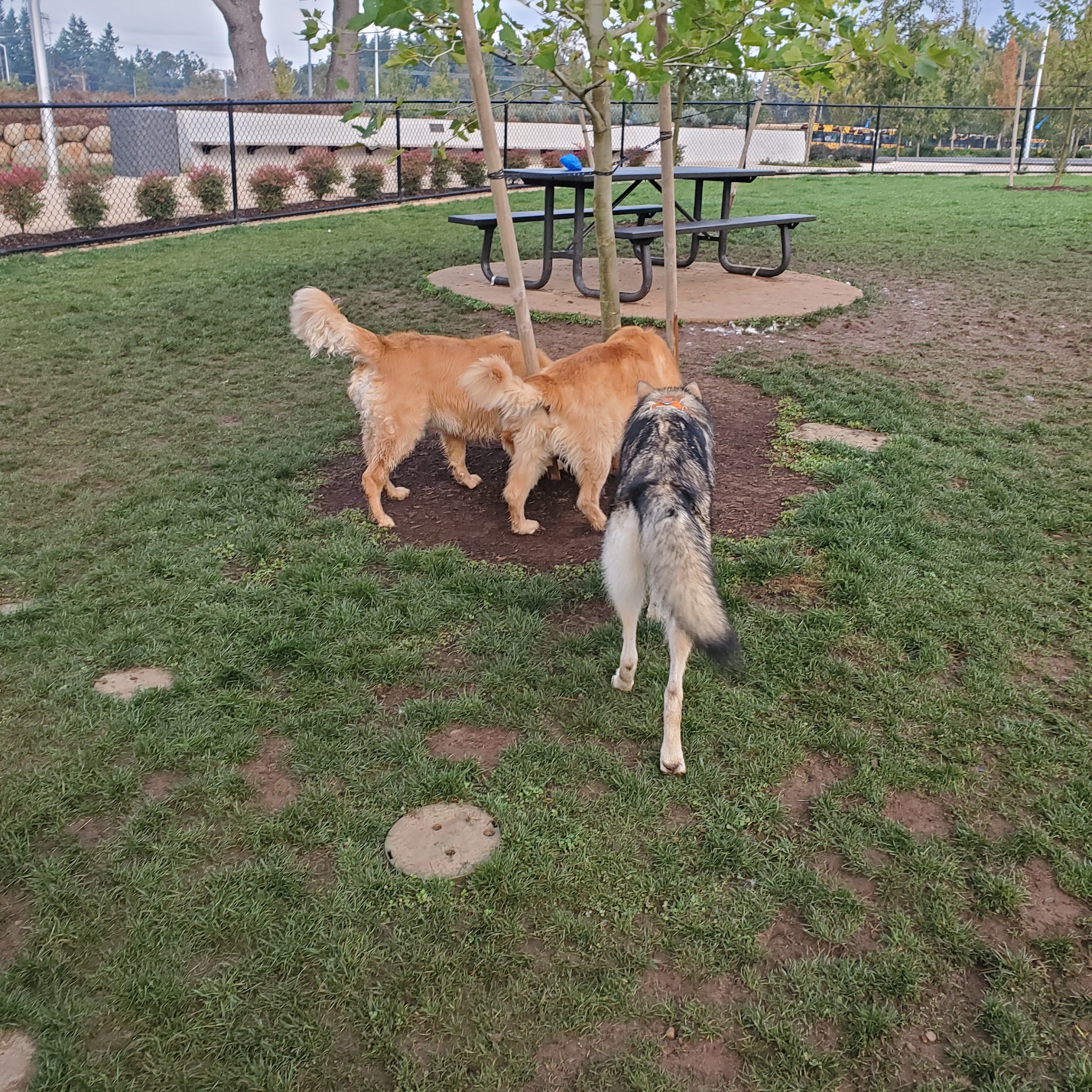 Tyrone S. Woods Memorial Park - Oregon City, OR