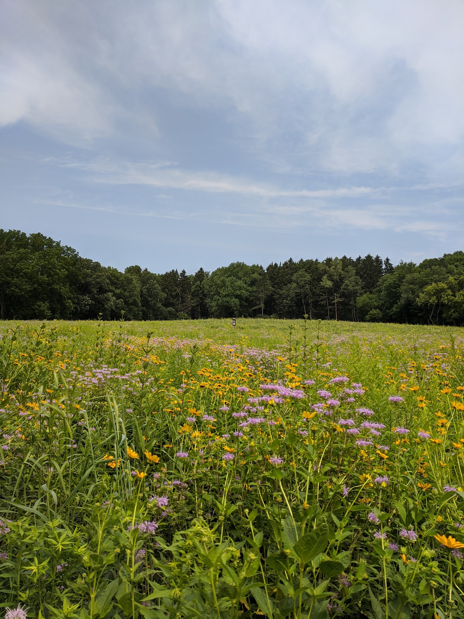 Anderson Farm County Park - Oregon, WI
