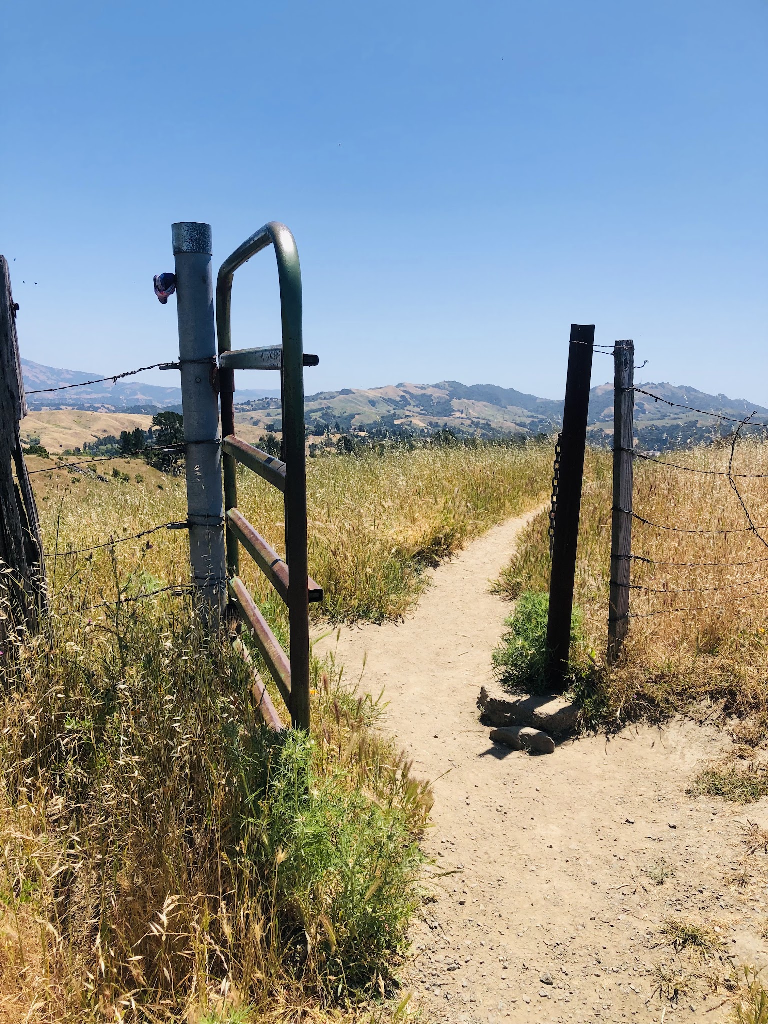 Orinda Oaks Open Space, Donald Drive Entrance - Orinda, CA