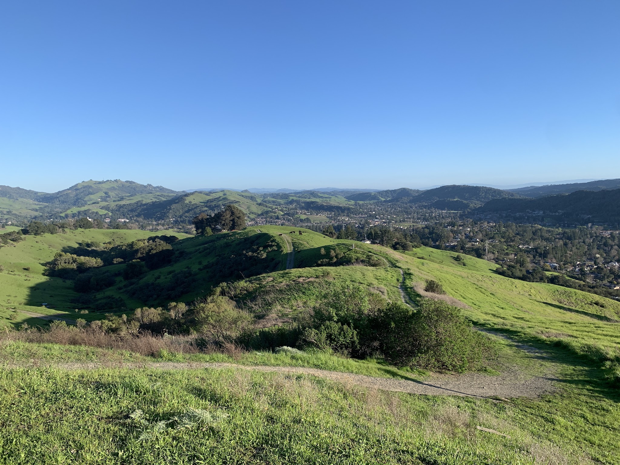 Orinda Oaks Open Space, Donald Drive Entrance - Orinda, CA