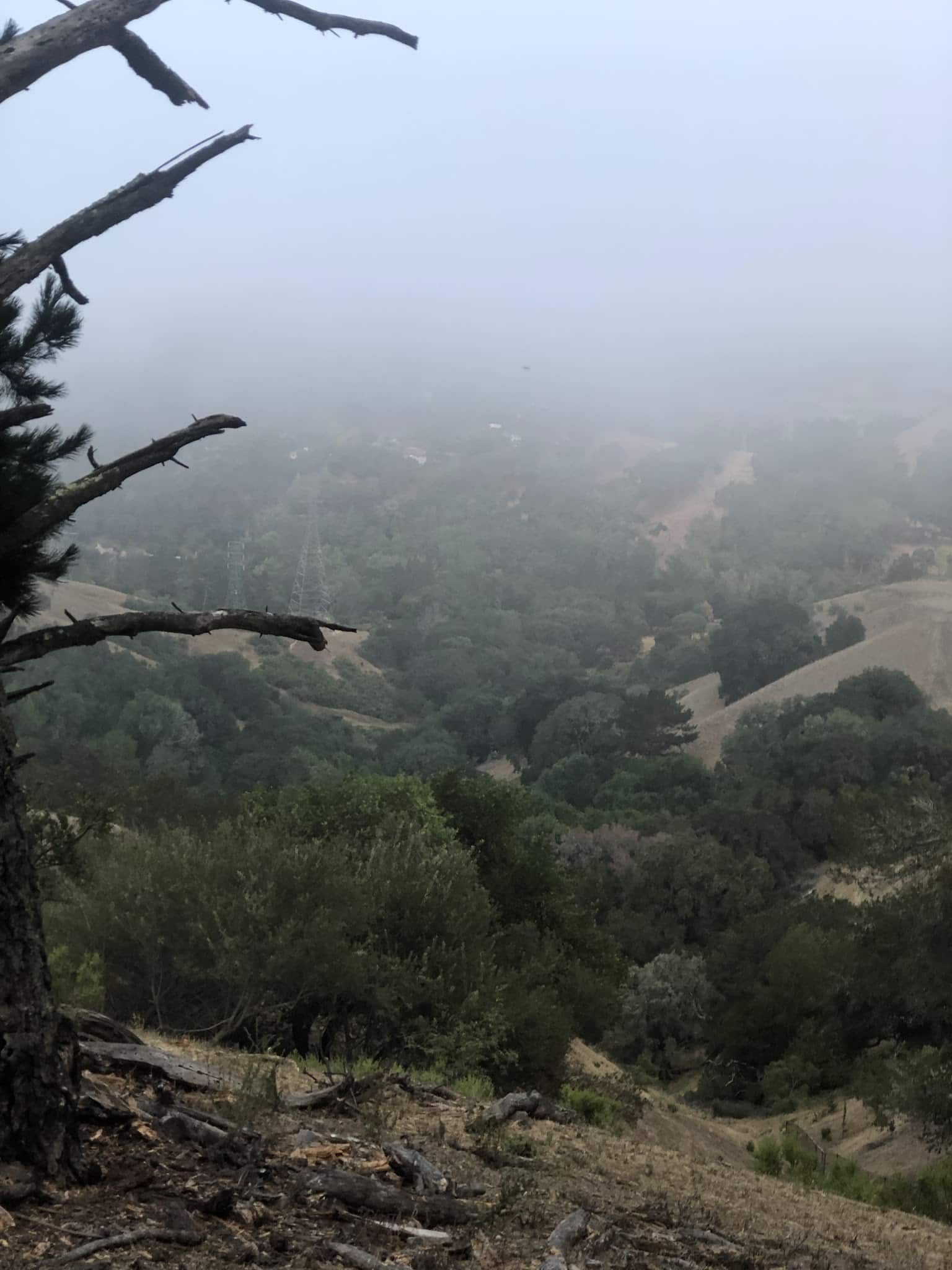 Orinda Oaks Open Space, Donald Drive Entrance - Orinda, CA