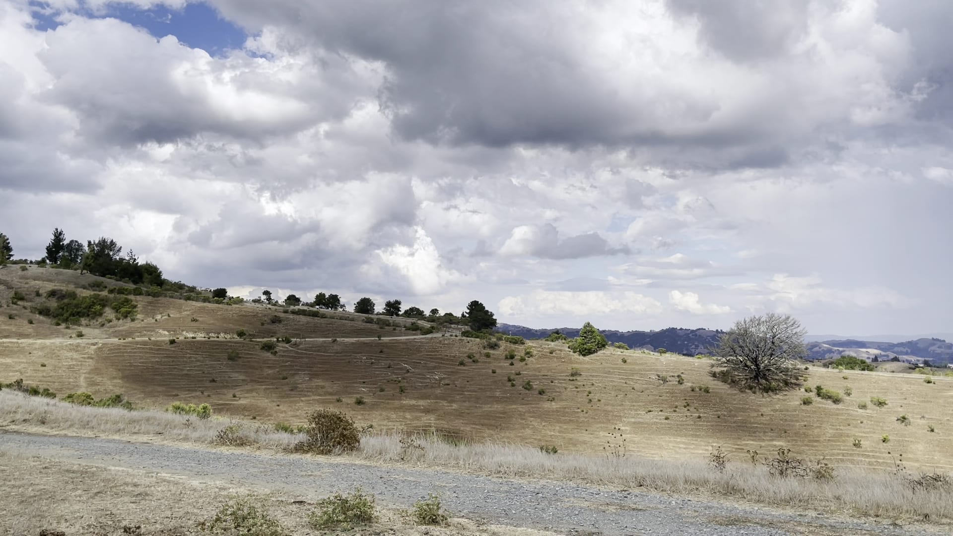 Orinda Oaks Open Space, Donald Drive Entrance - Orinda, CA