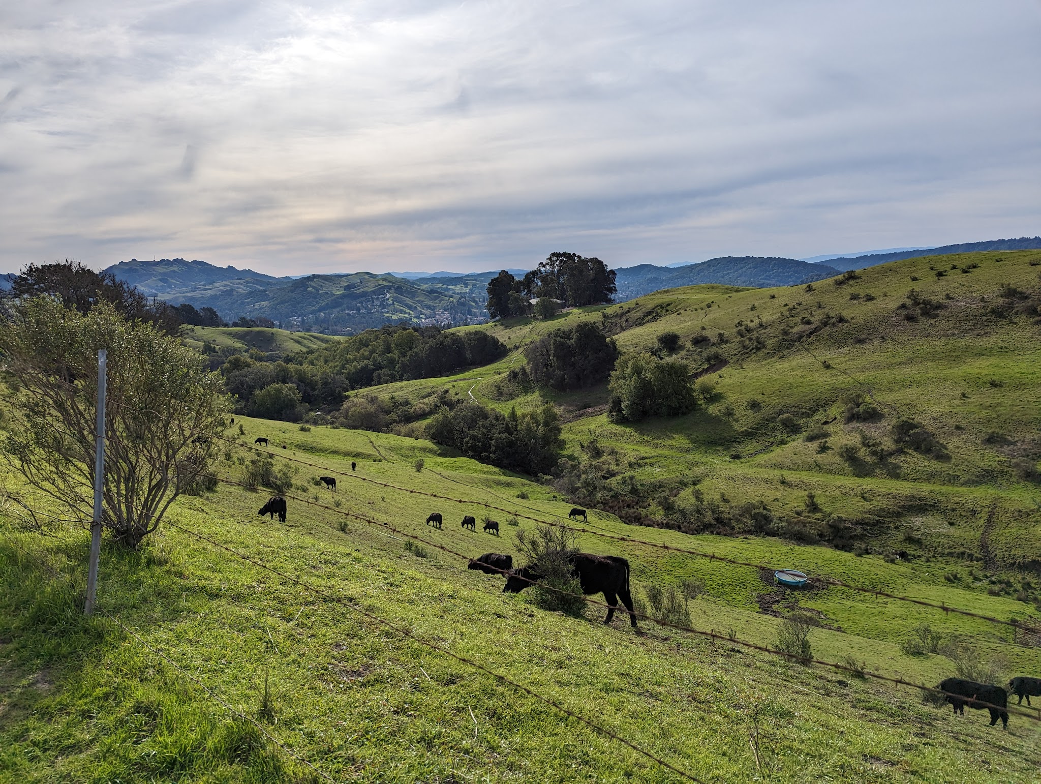 Orinda Oaks Park - Orinda, CA