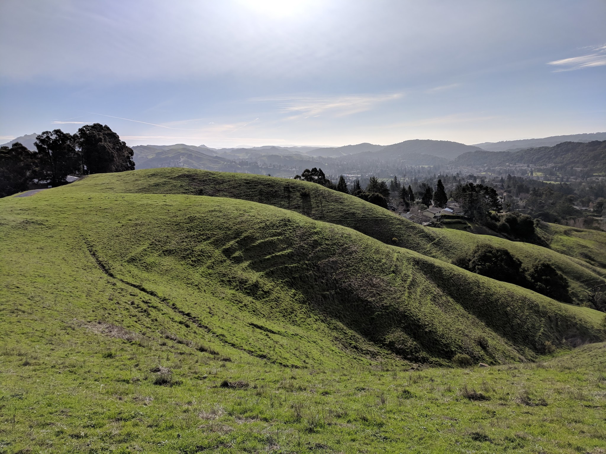 Orinda Oaks Park - Orinda, CA