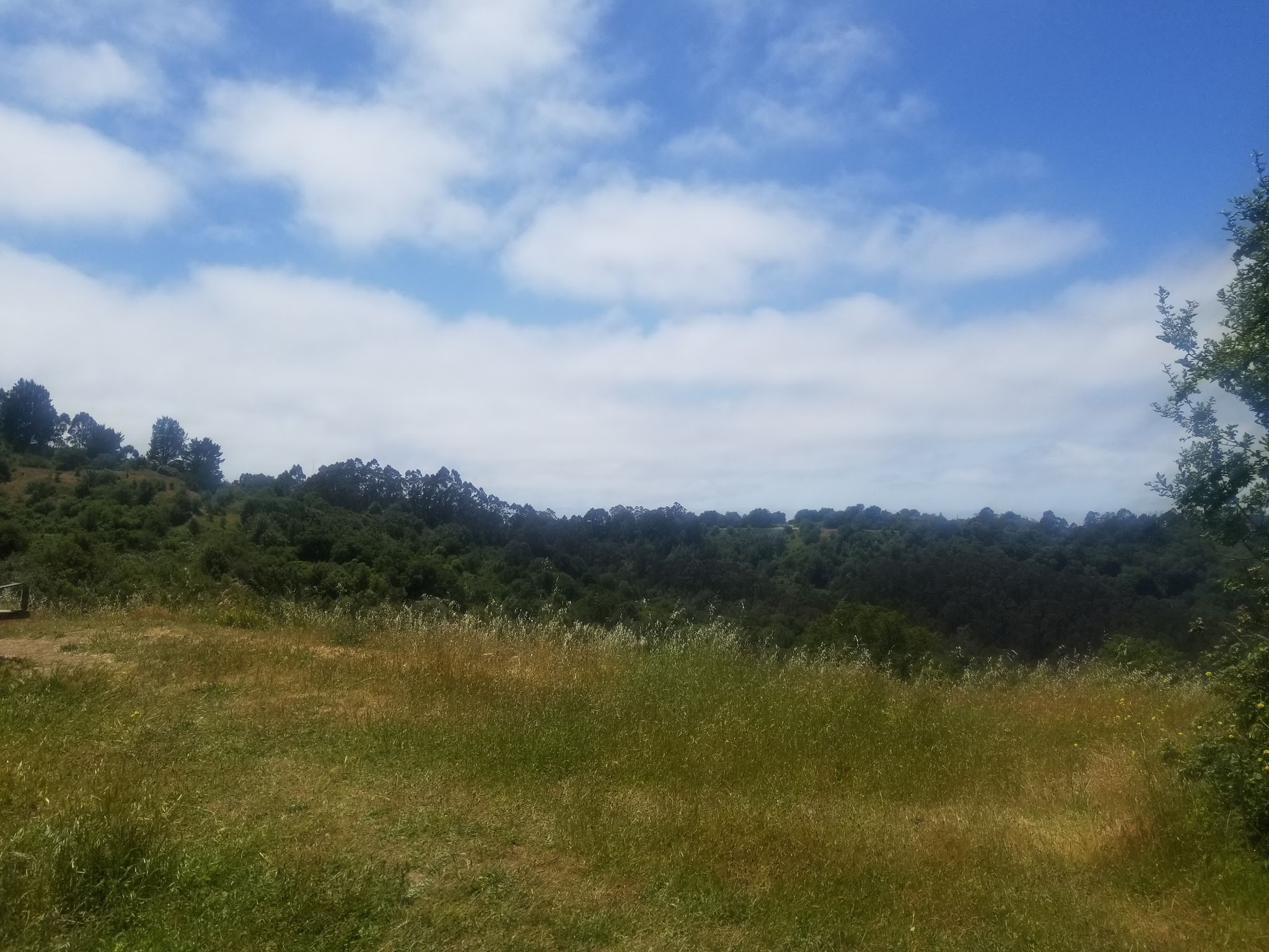 Quarry Trail Bench - Orinda, CA