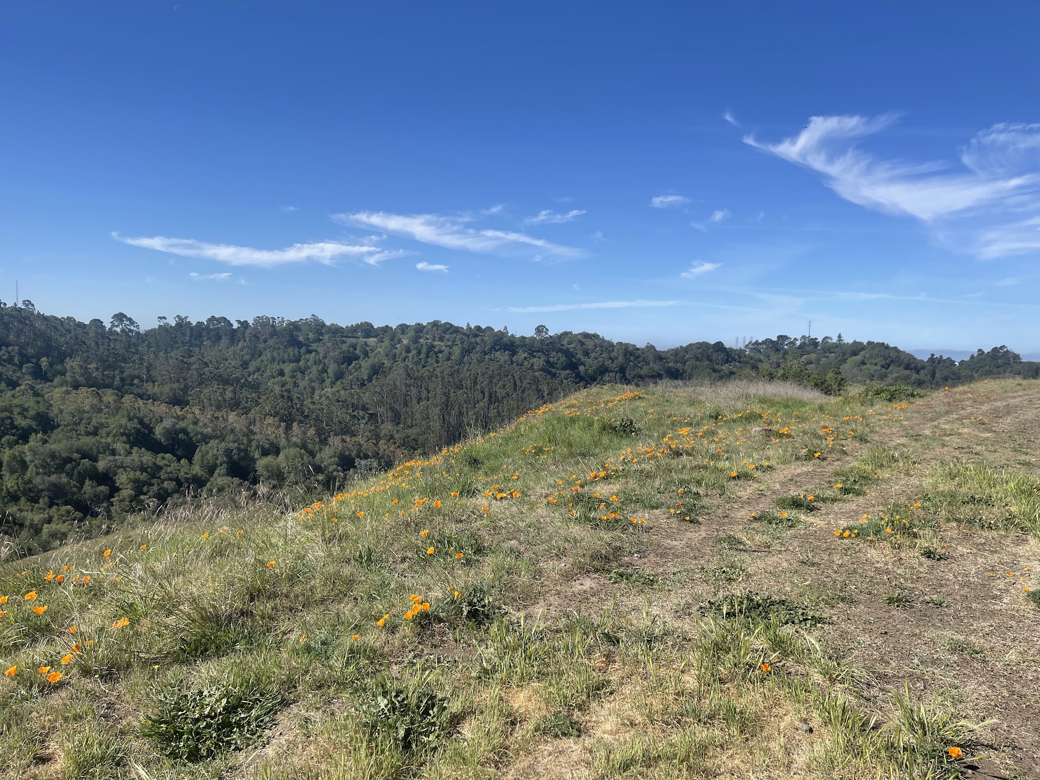 Quarry Trail Bench - Orinda, CA