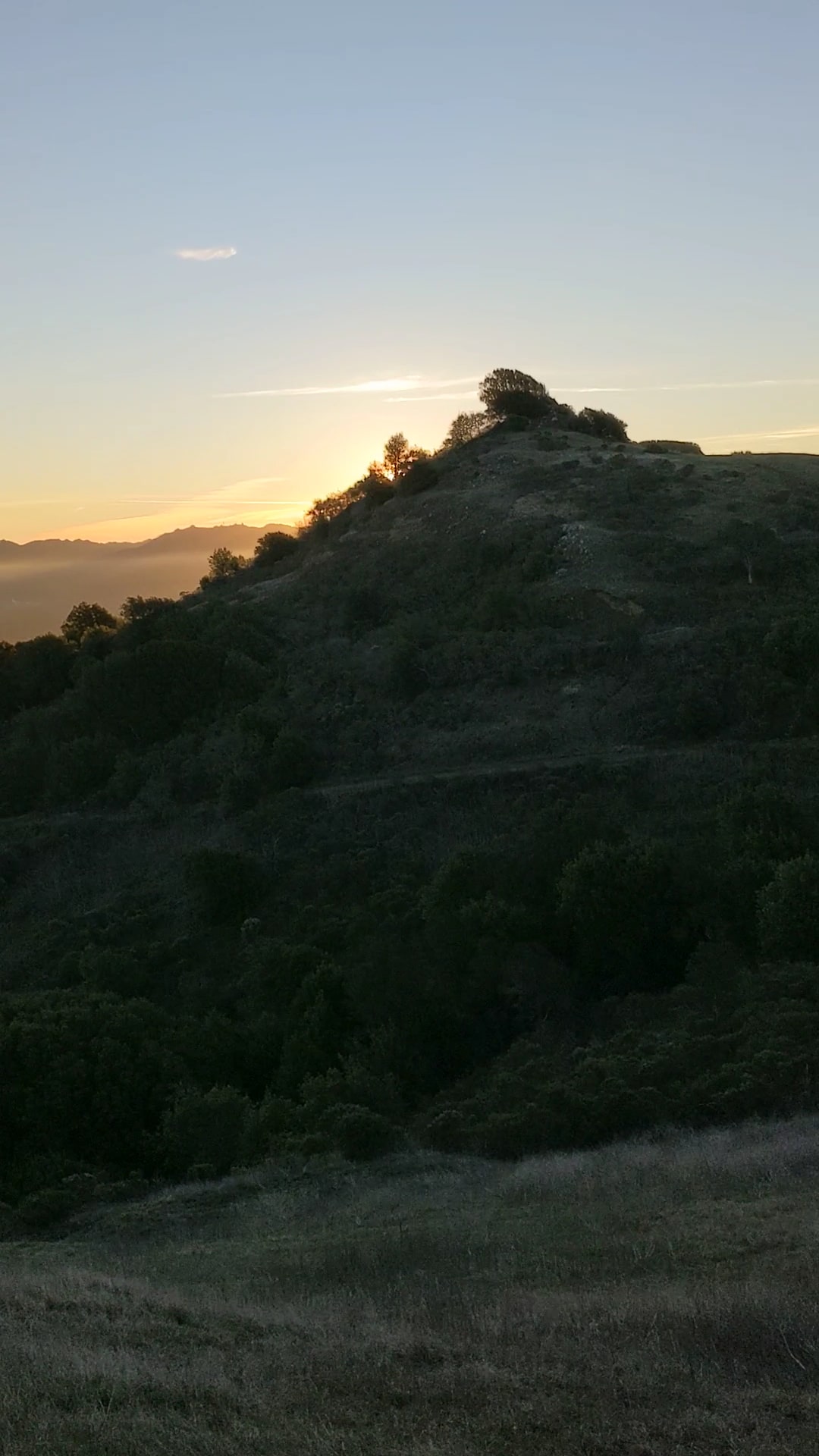 Quarry Trail Bench - Orinda, CA