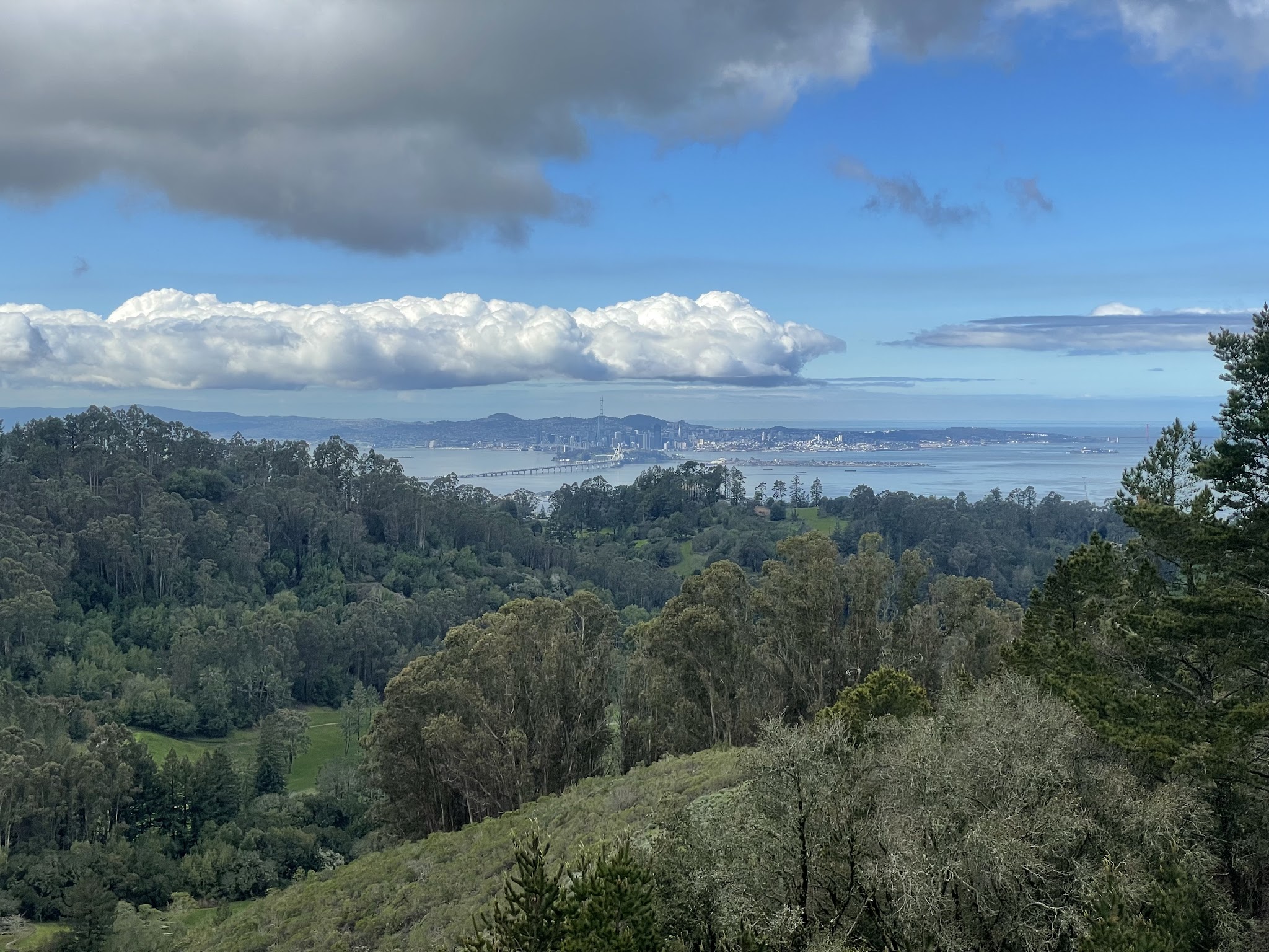 Seaview Trail - Orinda, CA