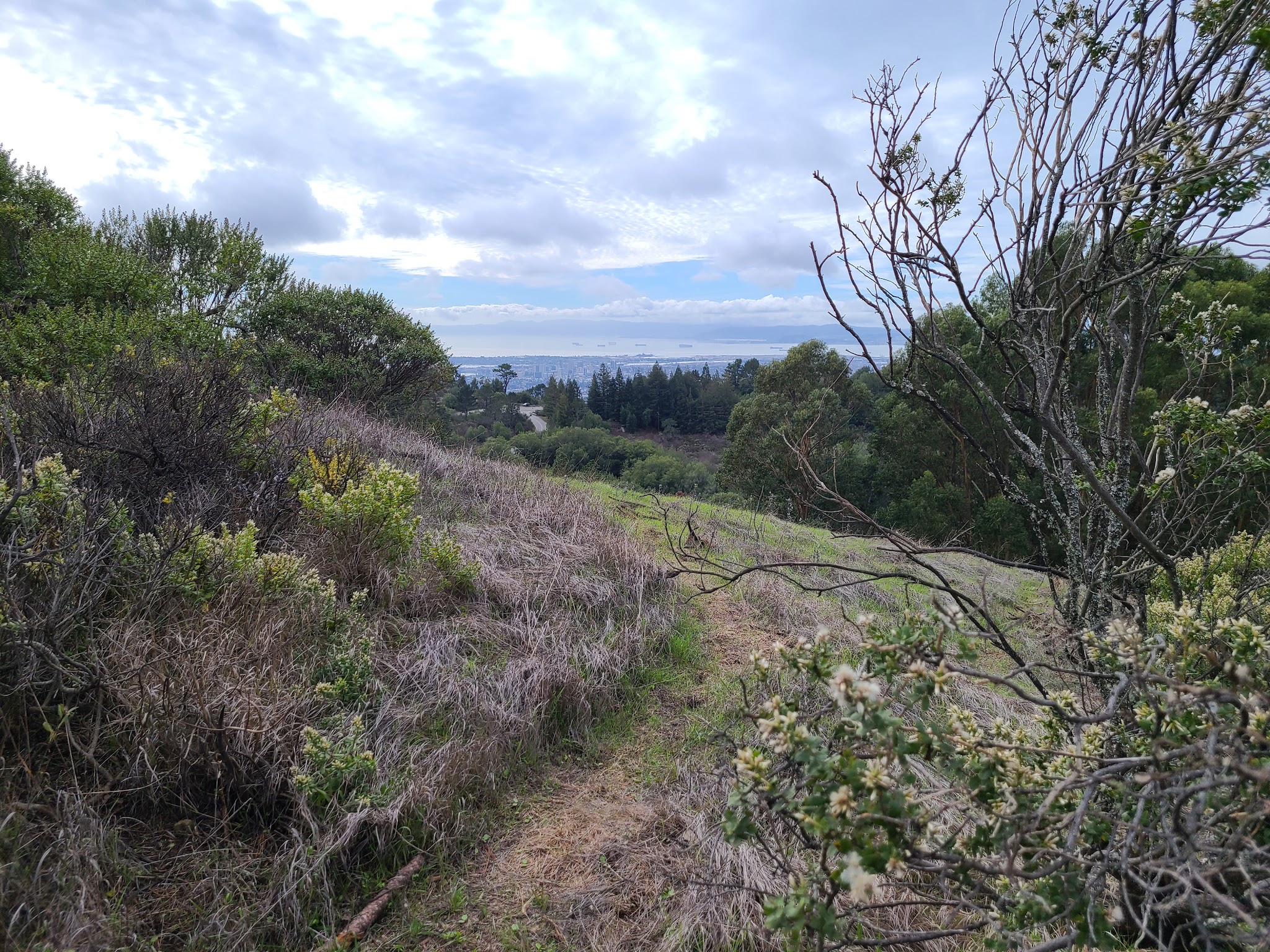 Seaview Trailhead - Orinda, CA