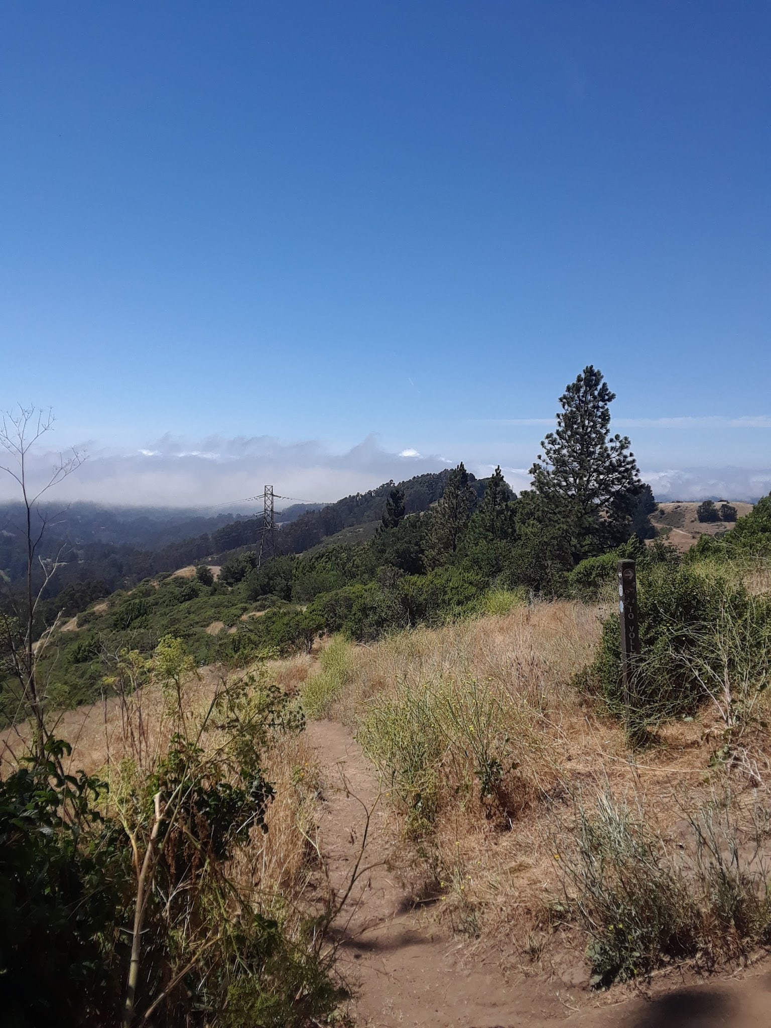 Seaview Trailhead - Orinda, CA