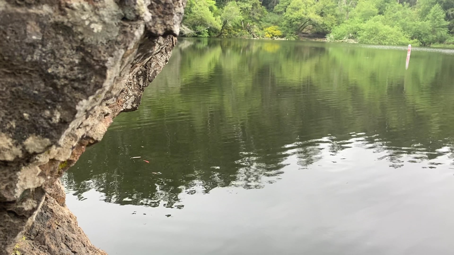 Tilden Regional Park - Orinda, CA
