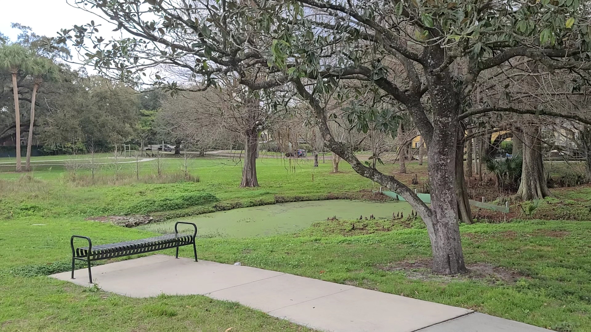 Al Coith Park - Orlando, FL