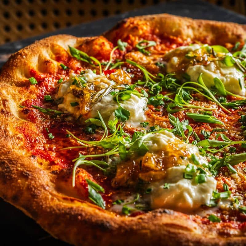 BarkHaven - Orlando, FL