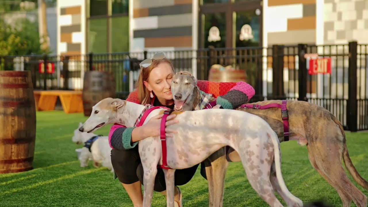 BarkHaven - Orlando, FL