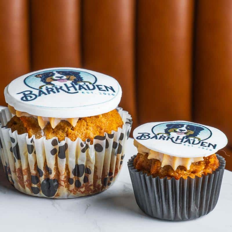 BarkHaven - Orlando, FL