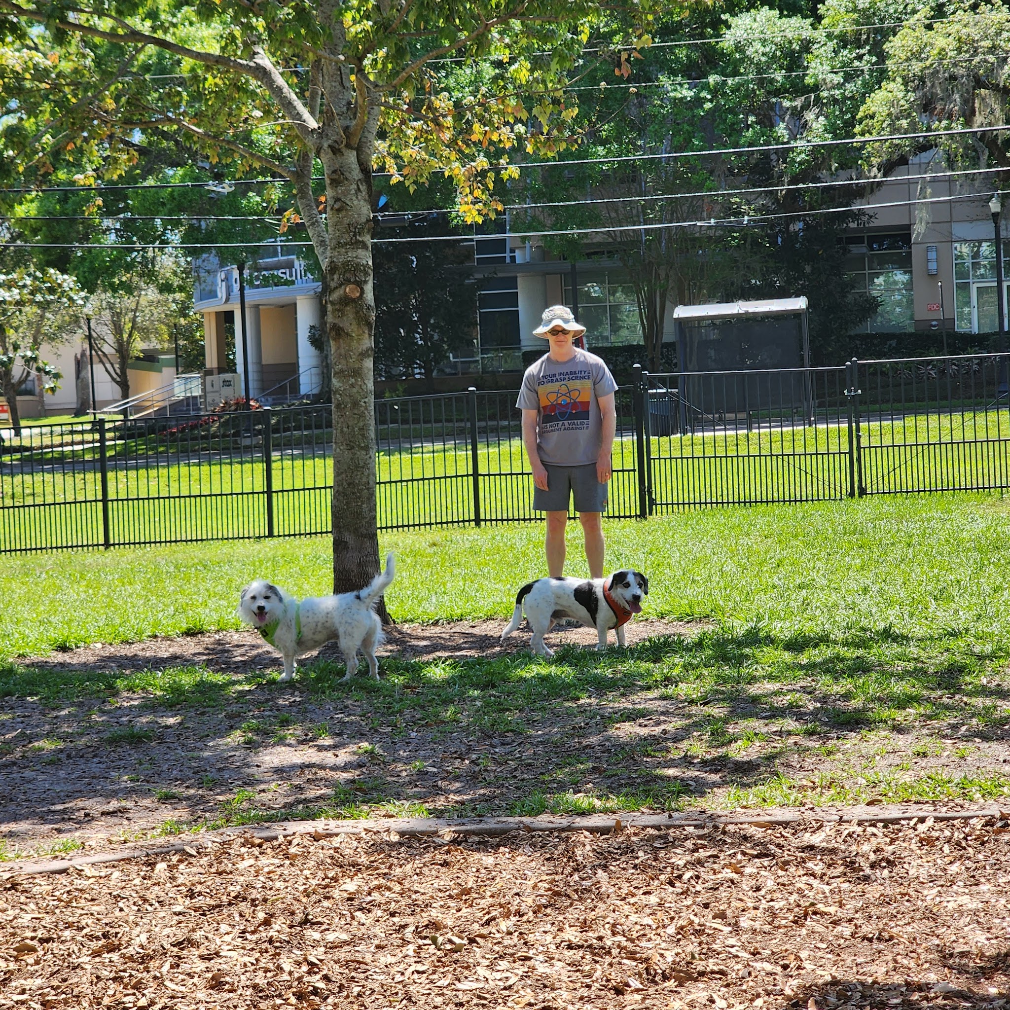 Constitution Green - Orlando, FL