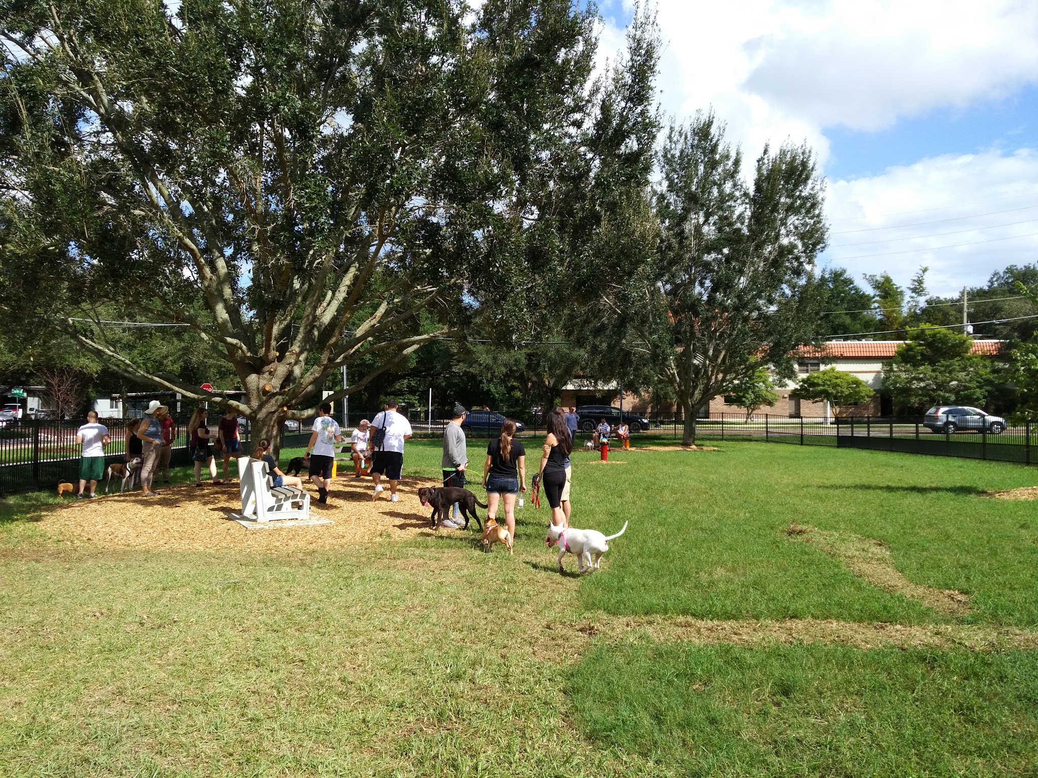 Constitution Green - Orlando, FL