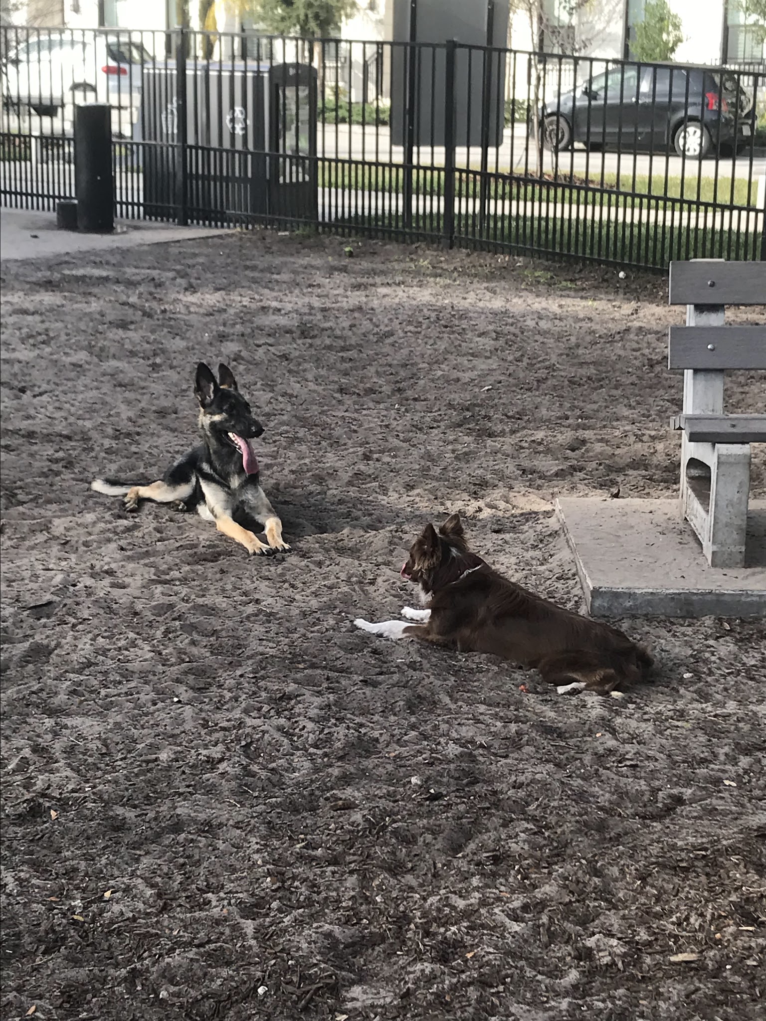 Constitution Green - Orlando, FL