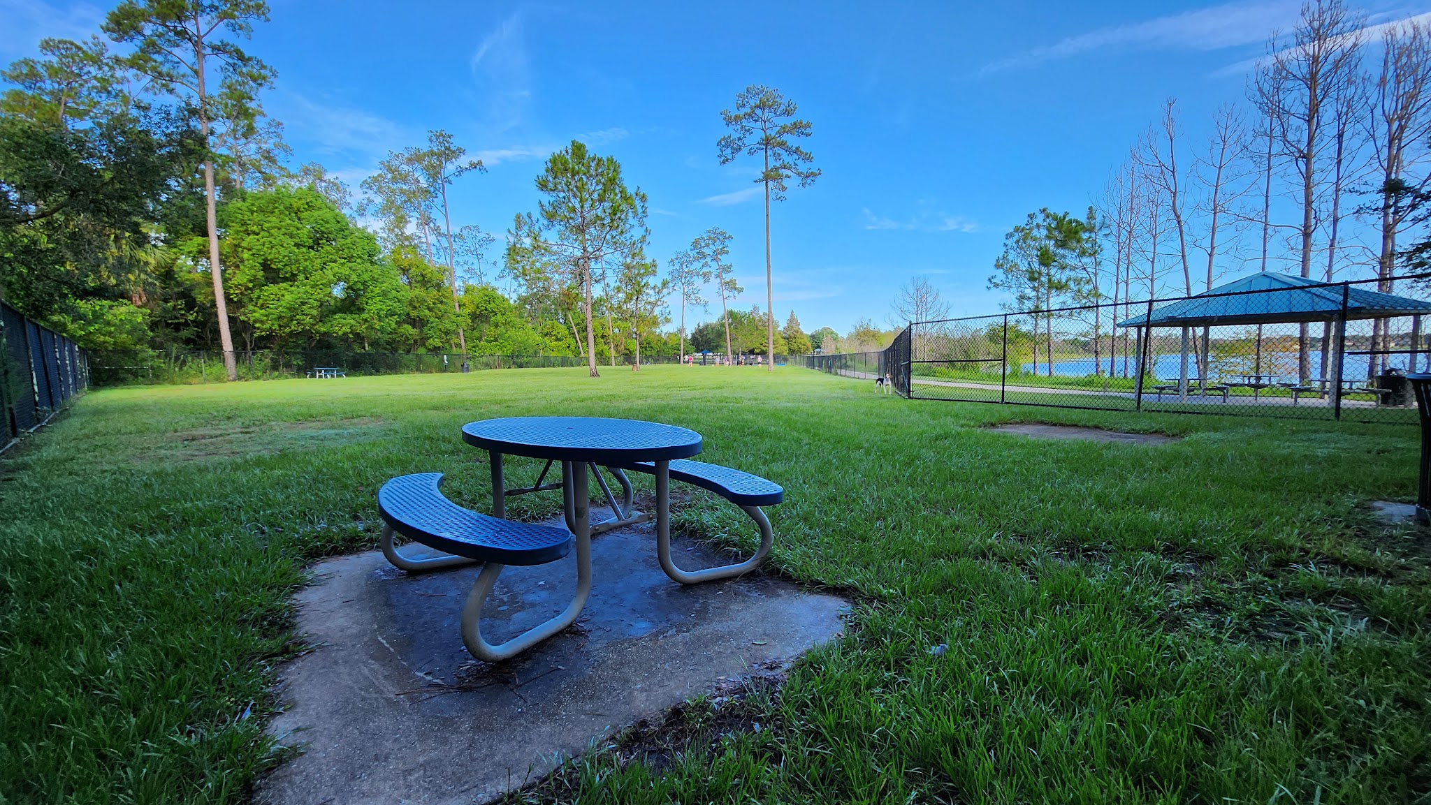 Dr. Phillips Dog Park - Orlando, FL
