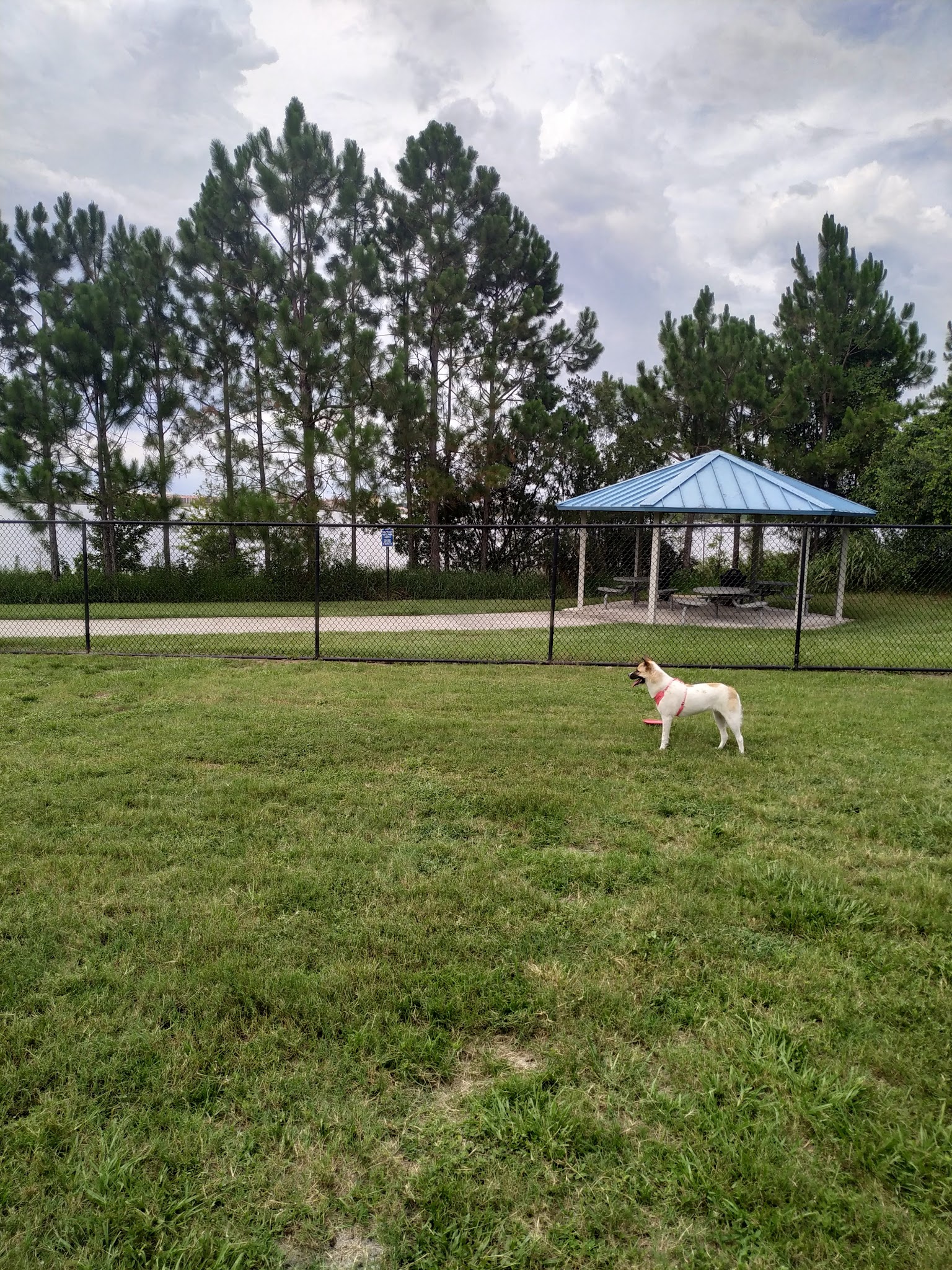 Dr. Phillips Dog Park - Orlando, FL