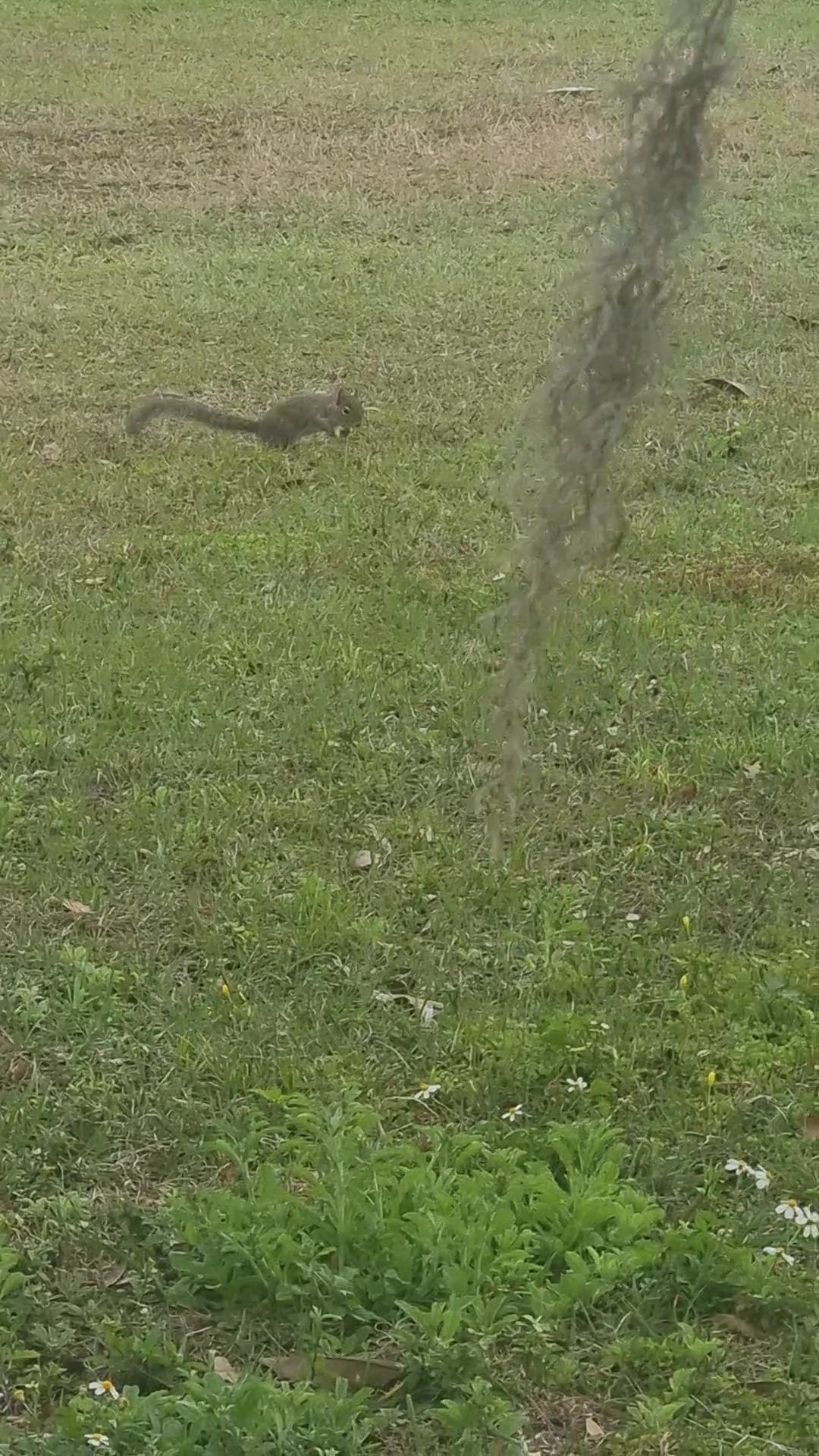 Grand Avenue Park - Orlando, FL