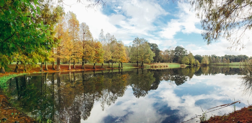 Greenwood Urban Wetlands - Orlando, FL