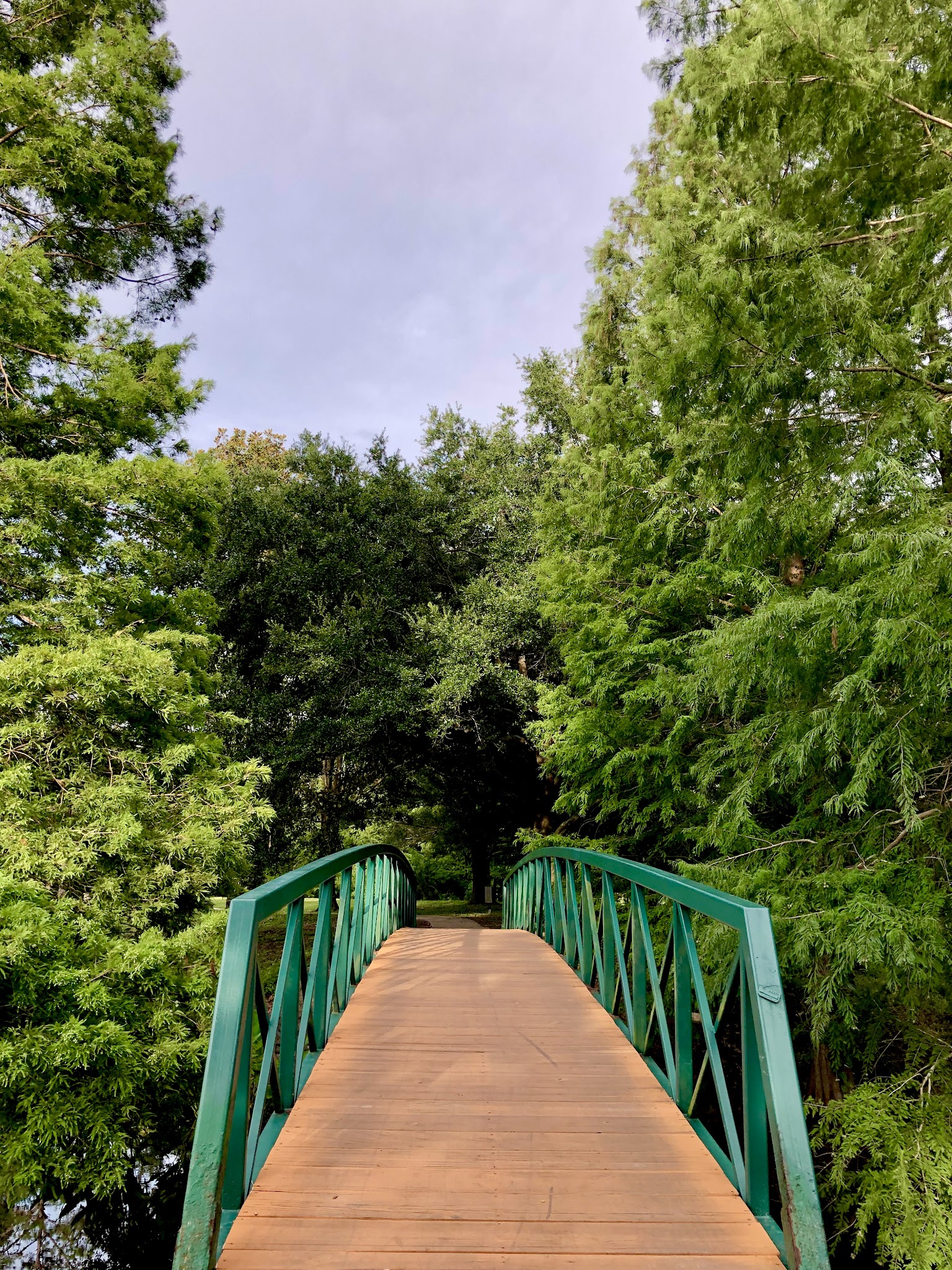 Greenwood Urban Wetlands - Orlando, FL