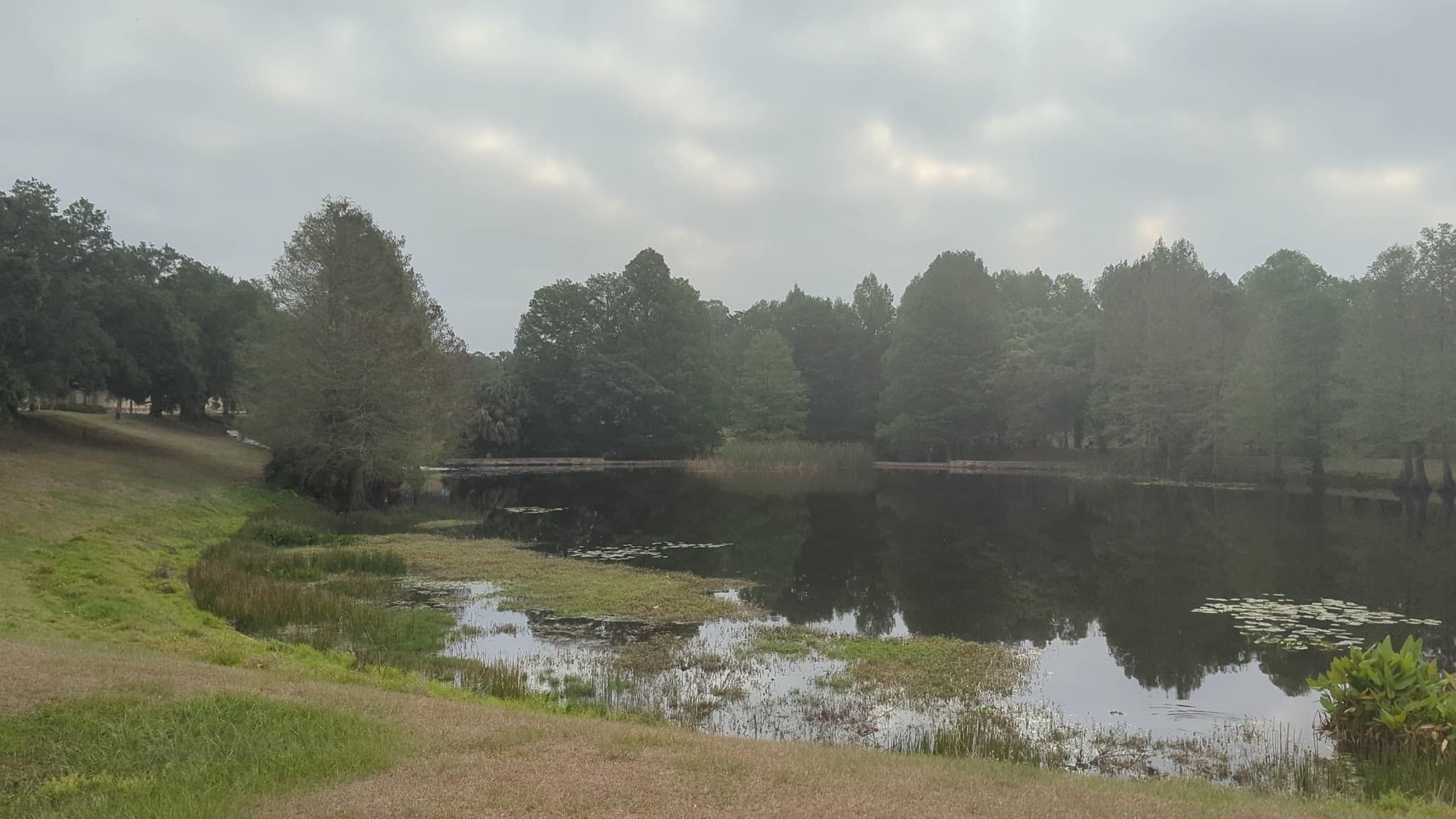Greenwood Urban Wetlands - Orlando, FL