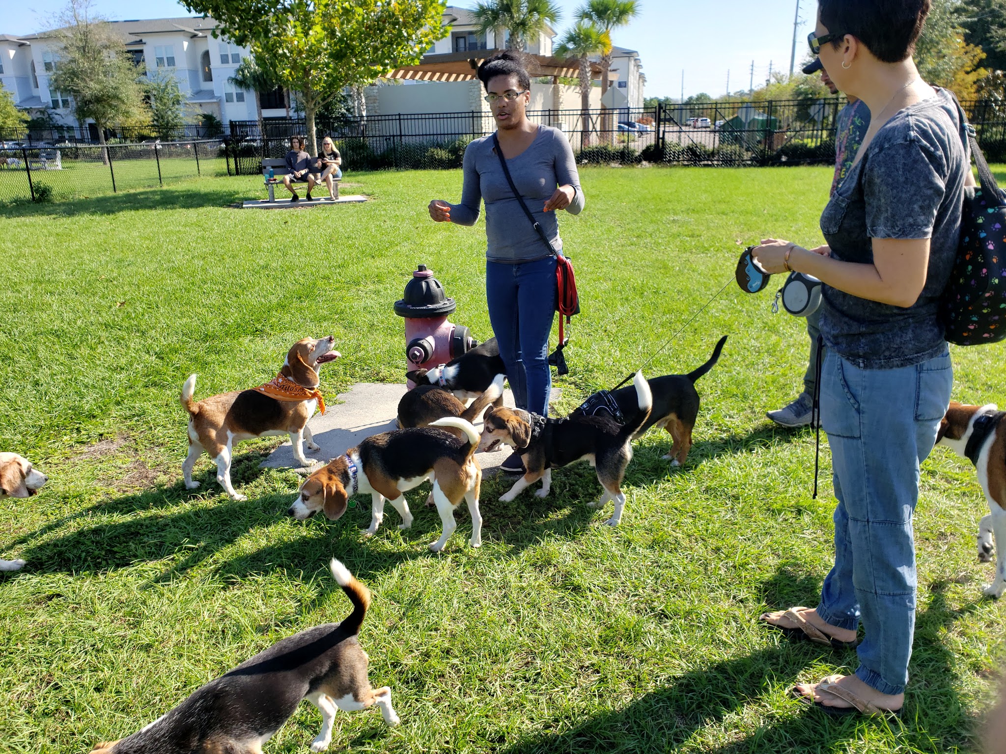 Lake Druid Dog Park - Orlando, FL