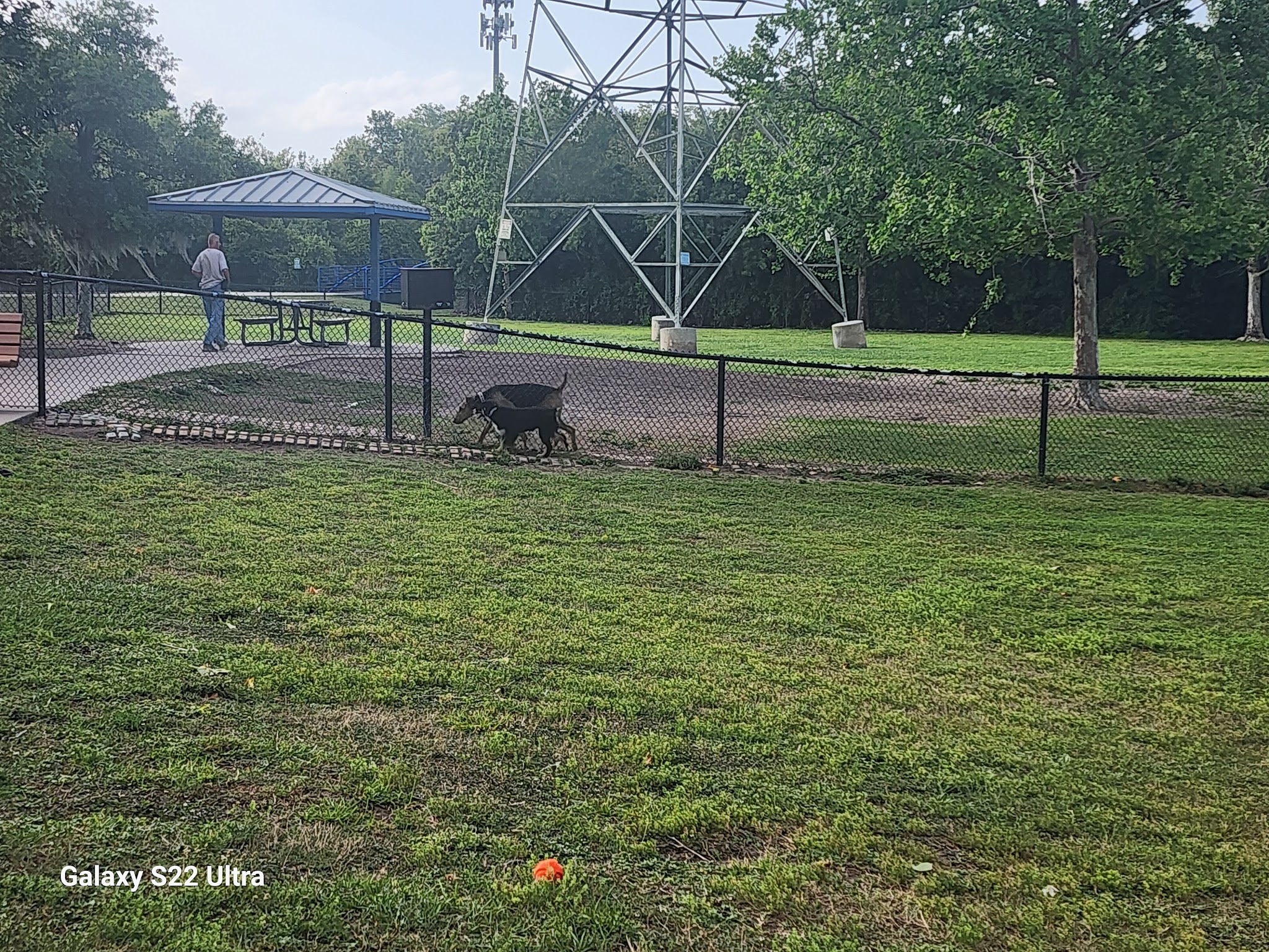 Meadow Woods Dog Park - Orlando, FL
