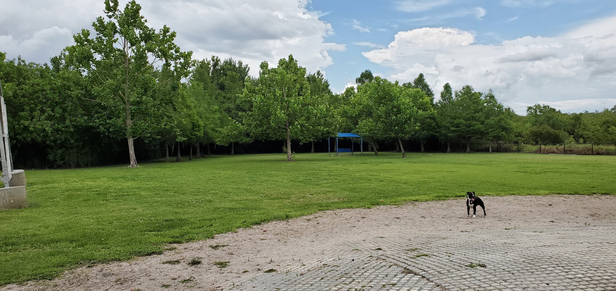 Meadow Woods Dog Park - Orlando, FL