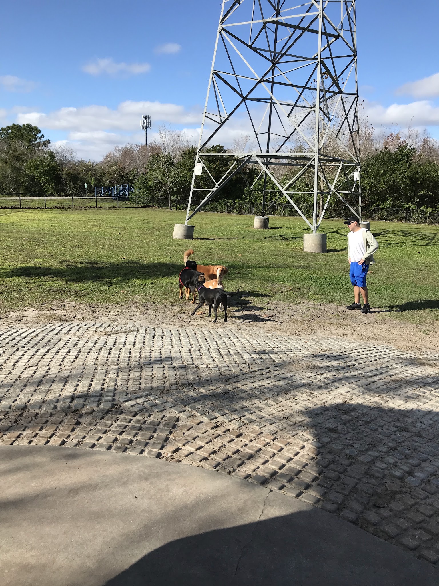 Meadow Woods Dog Park - Orlando, FL