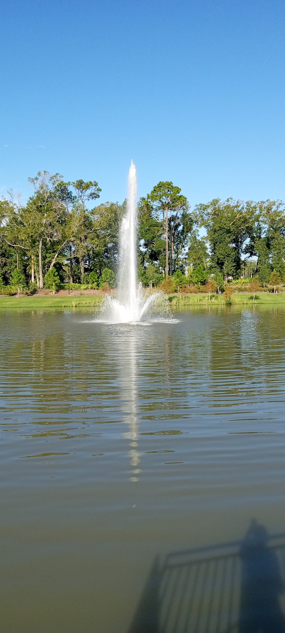The Grove - Orlando, FL