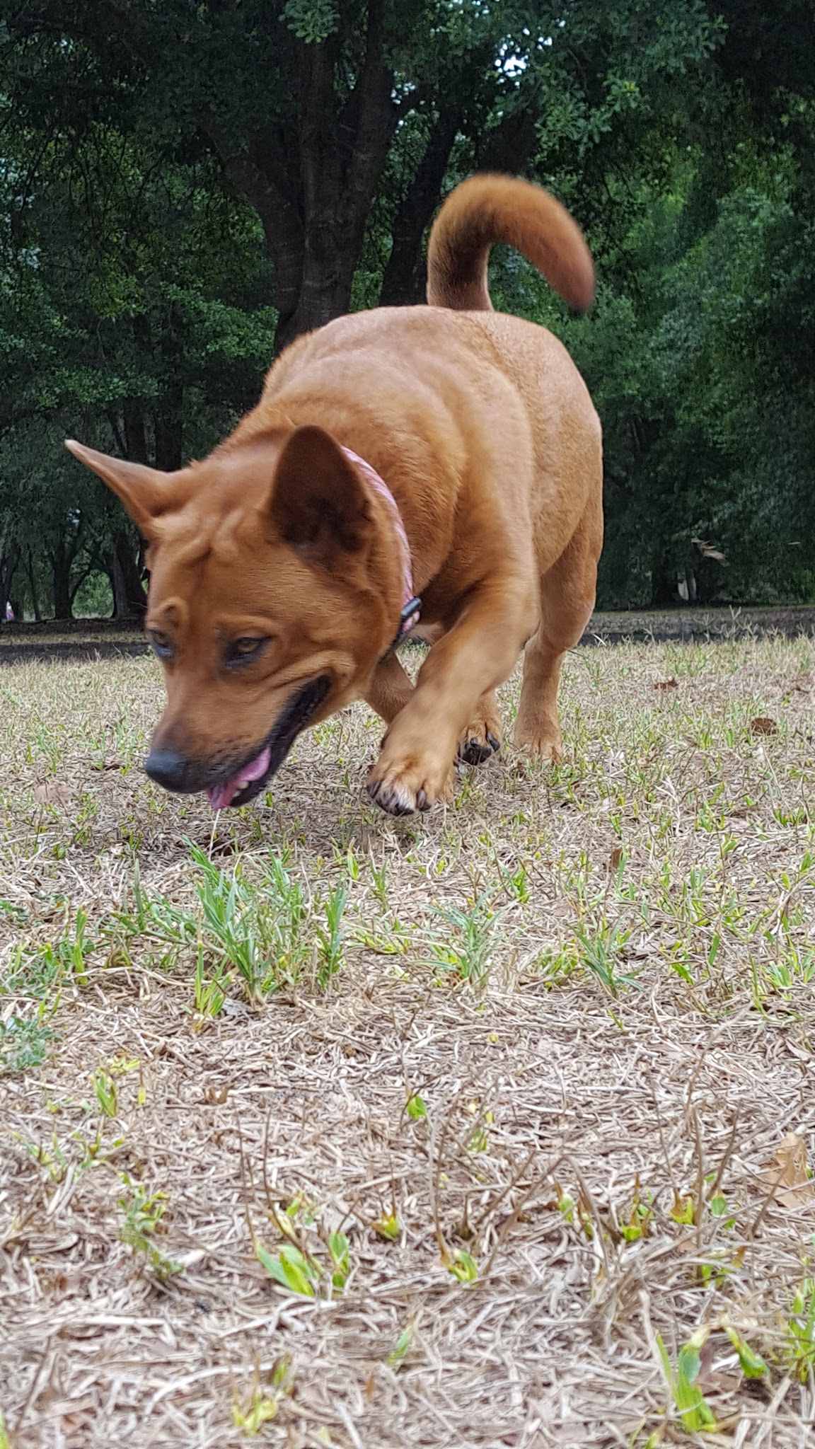 Warrior Park - Orlando, FL