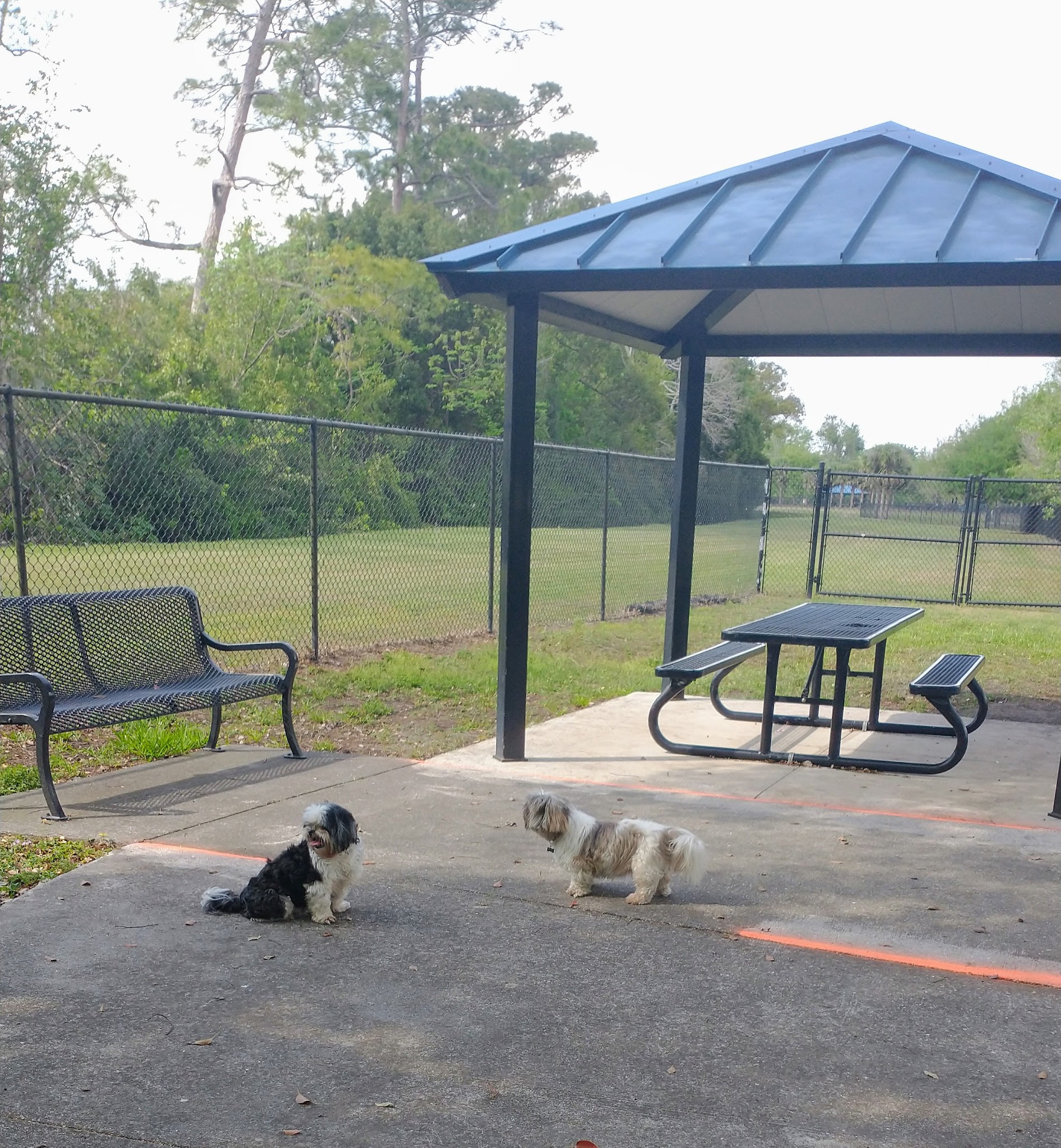 Yucatan Dog Park - Orlando, FL