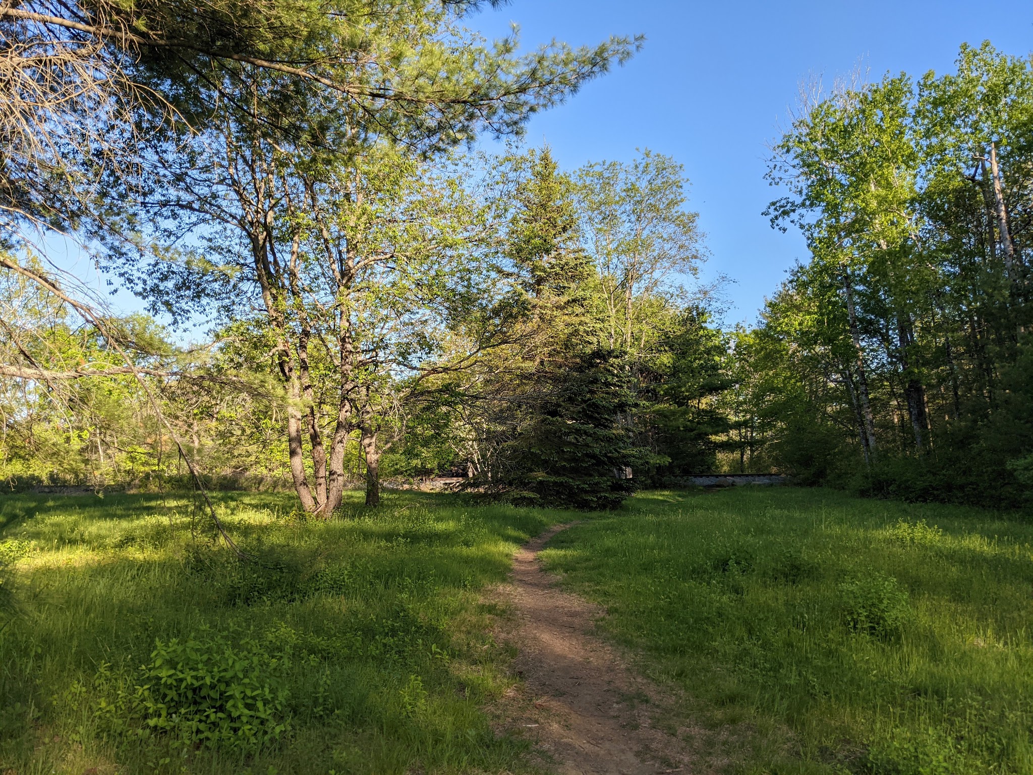 Piney Knoll Conservation Area - Orono, ME