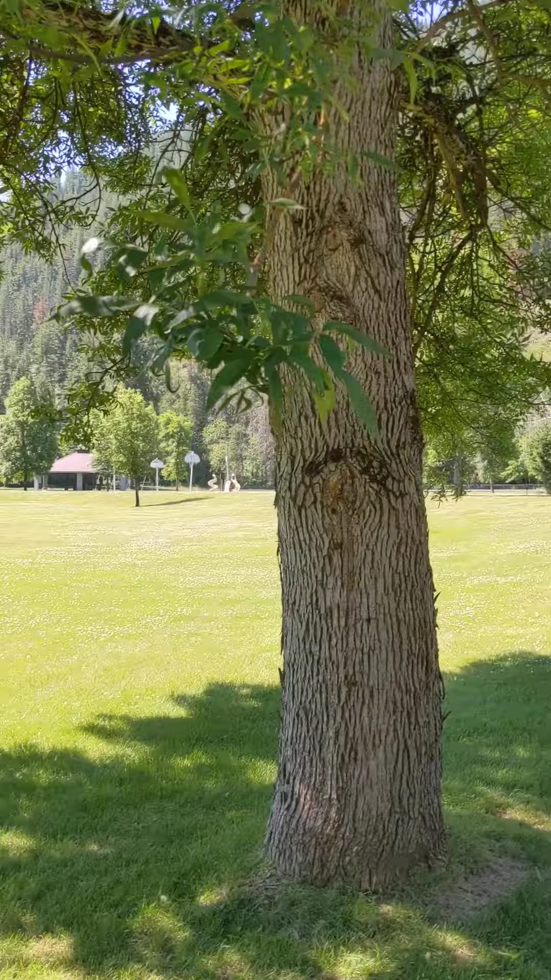 Gene Day Park - Osburn, ID