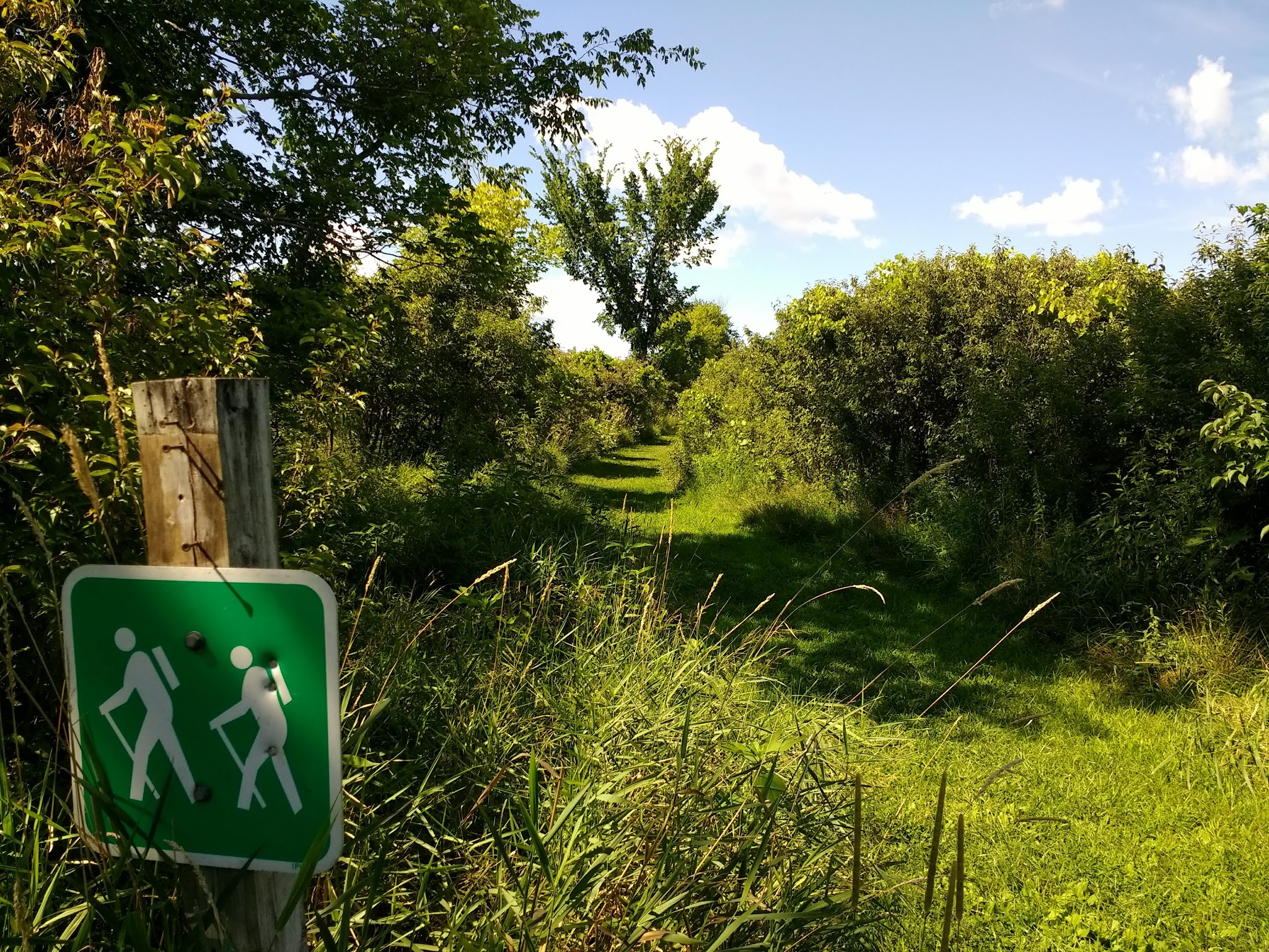Cedar Bluffs Natural Area Trailhead - Oskaloosa, IA