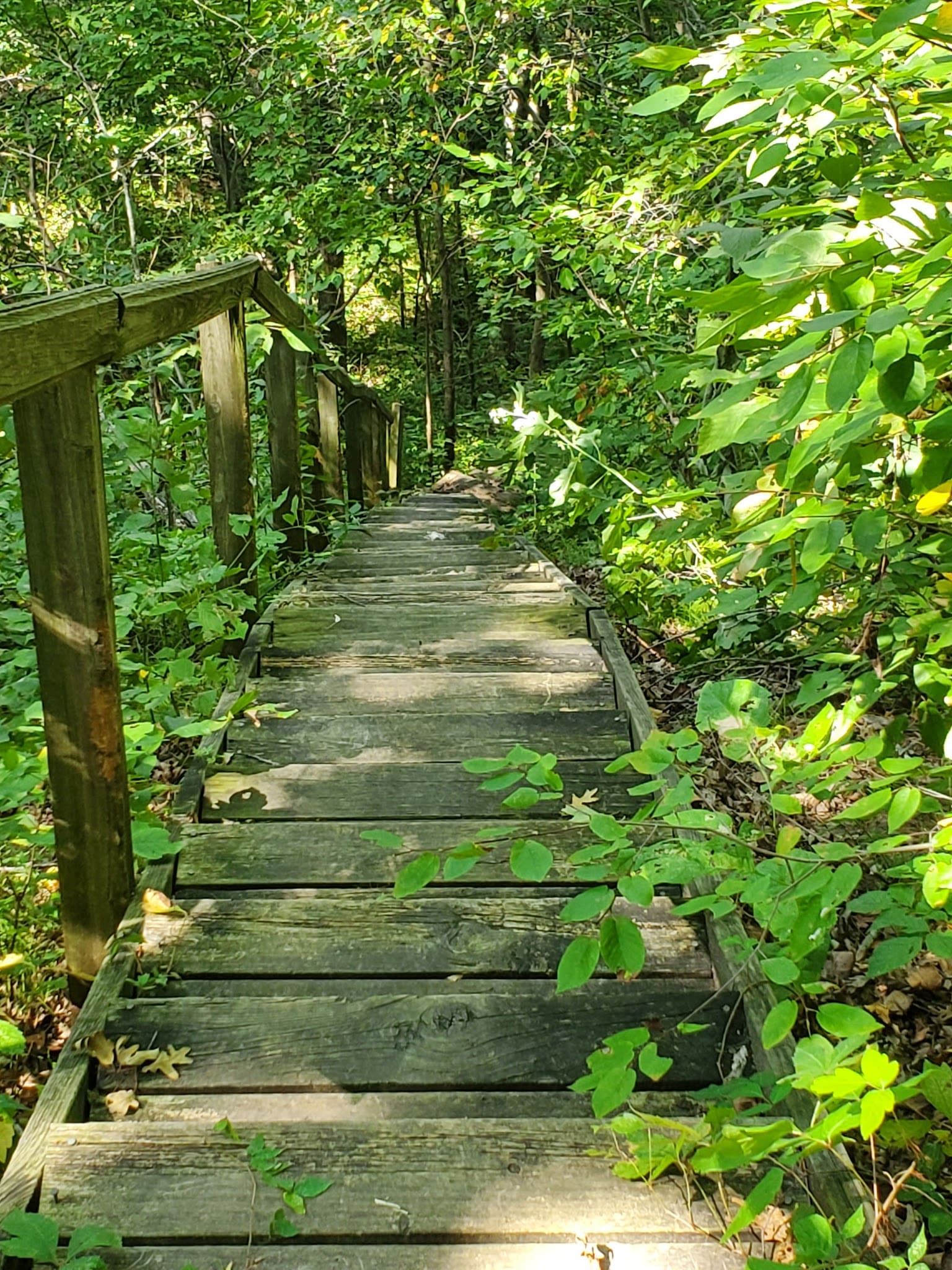 Cedar Bluffs Natural Area Trailhead - Oskaloosa, IA
