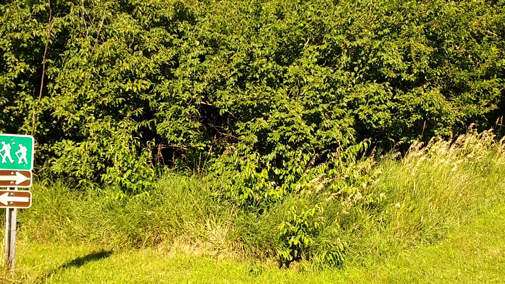 Cedar Bluffs Natural Area Trailhead - Oskaloosa, IA