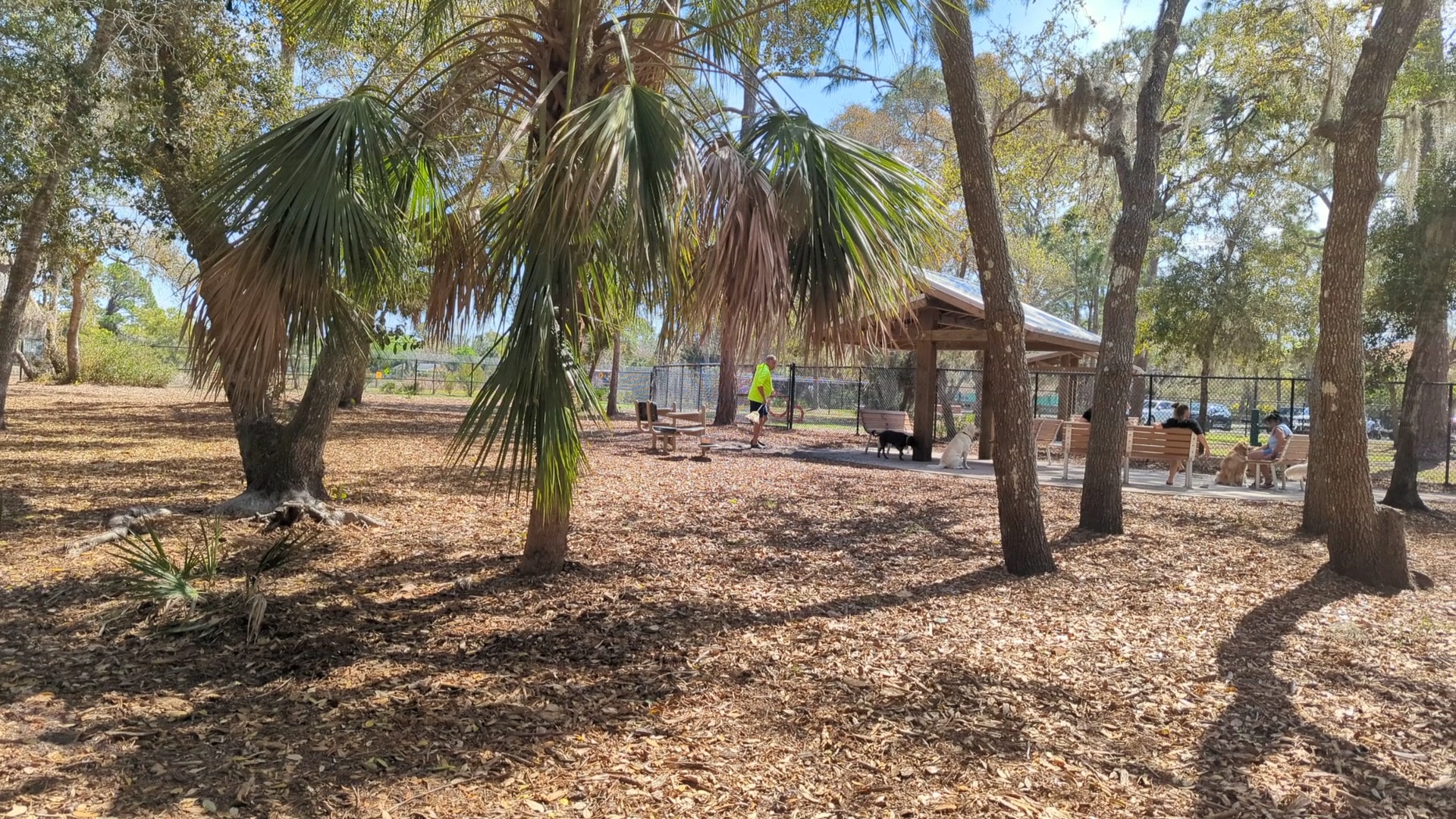 Osprey Dog Park - Osprey, FL