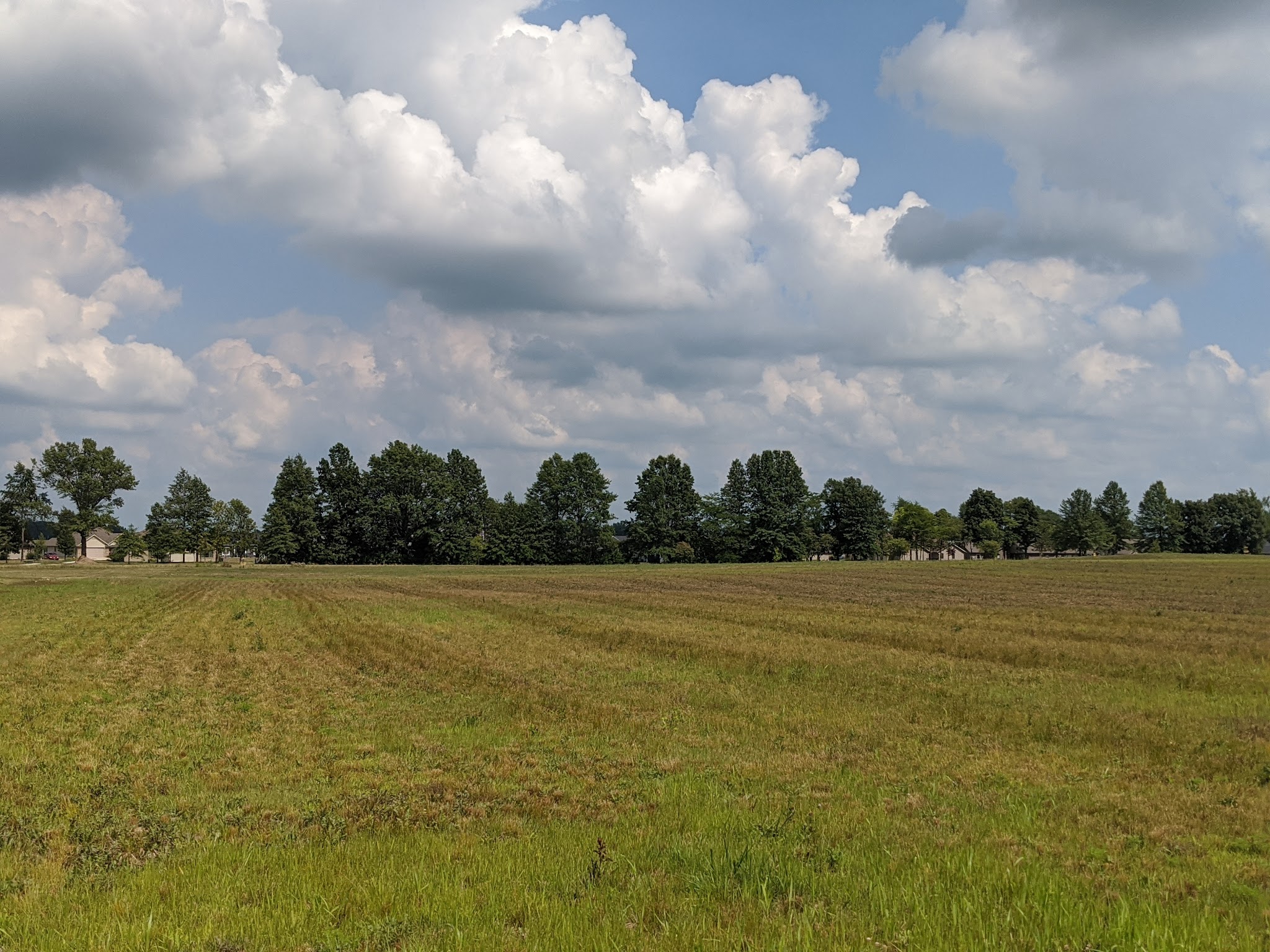 Archbold-Wilson Park - Ossian, IN