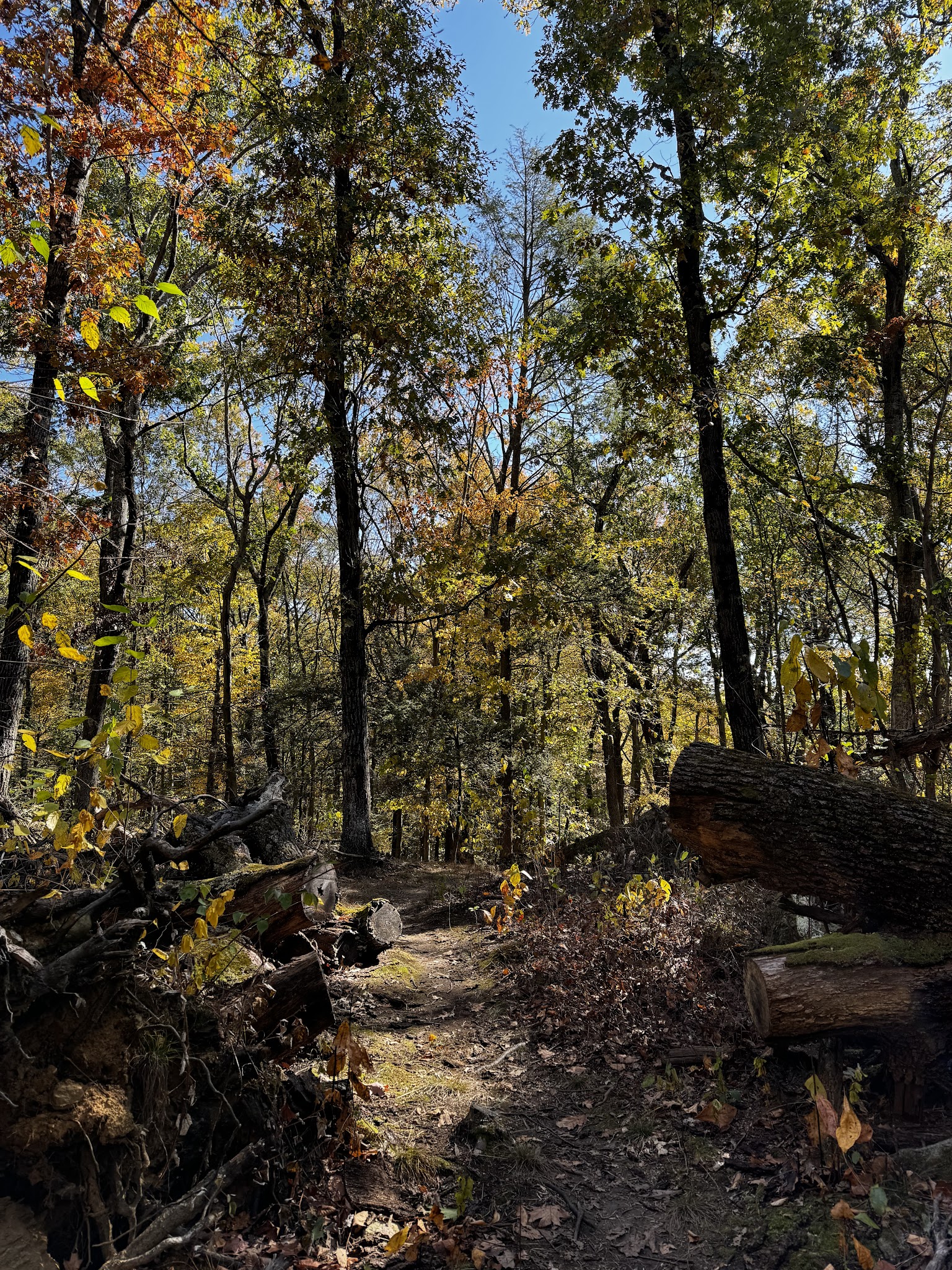 Sunny Ridge Preserve - Ossining, NY