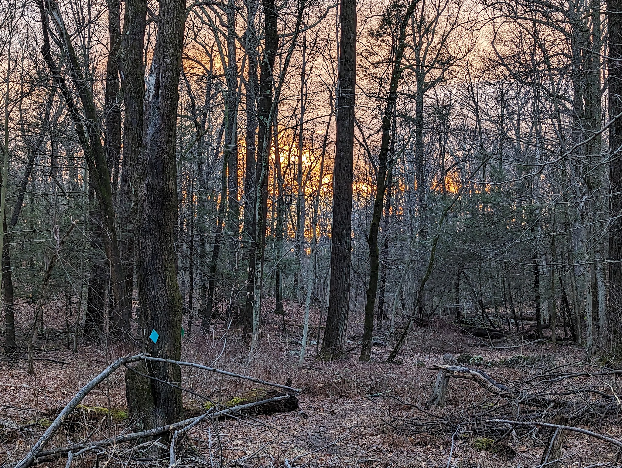 Sunny Ridge Preserve - Ossining, NY