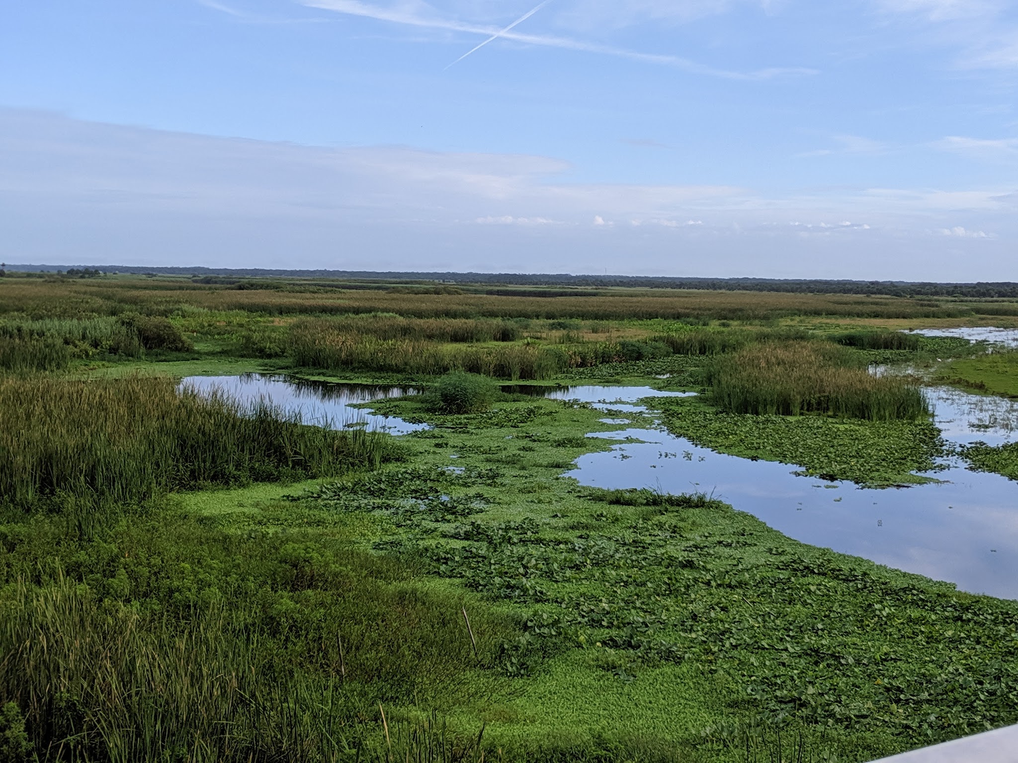 Lake Monroe Conservation Area - Osteen, FL