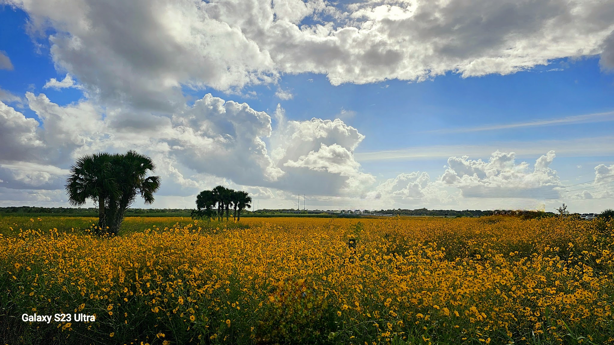 Lake Monroe Conservation Area - Osteen, FL