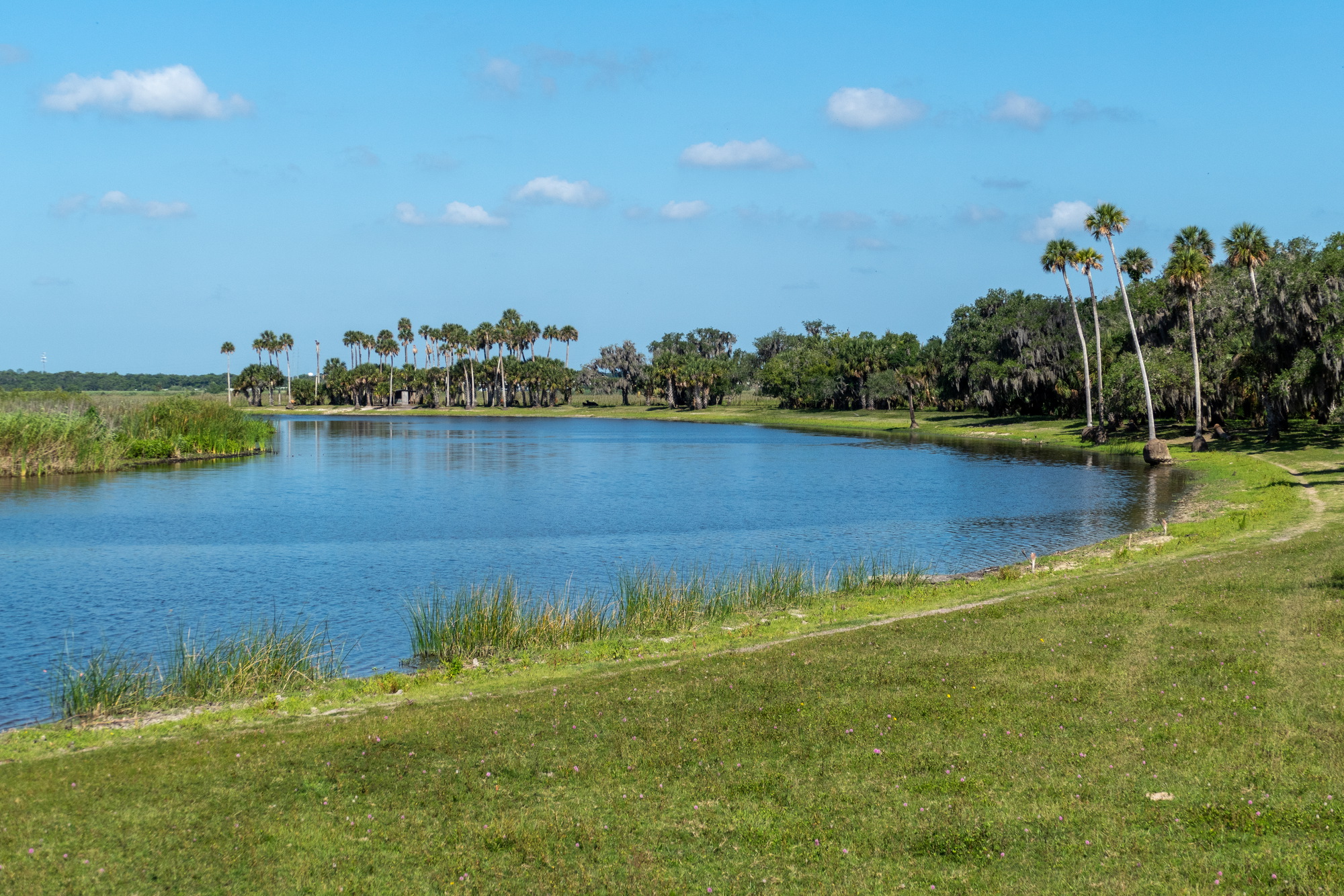 Lake Monroe Conservation Area - Osteen, FL