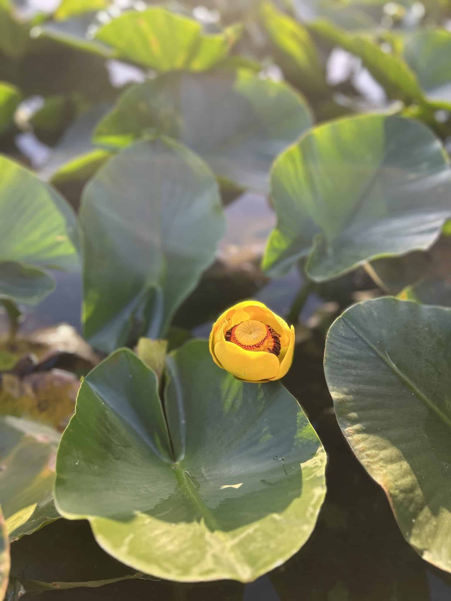 East Devil's Lake State Recreation Area - Otis, OR