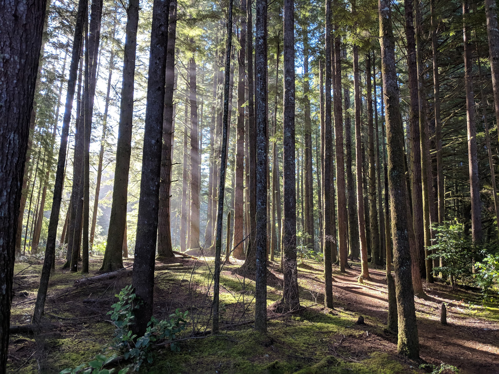 East Devil's Lake State Recreation Area - Otis, OR